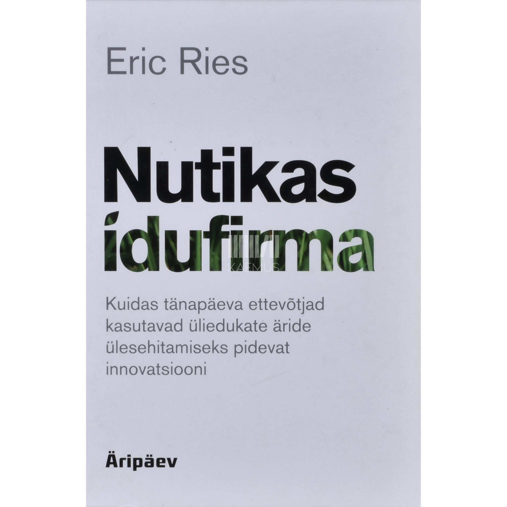 Eric Ries - Nutikas idufirma