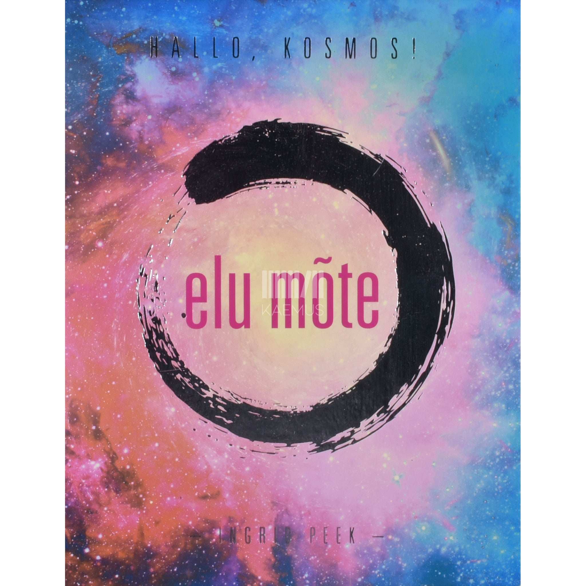 Ingrid Peek Hallo, Kosmos! Elu mõte