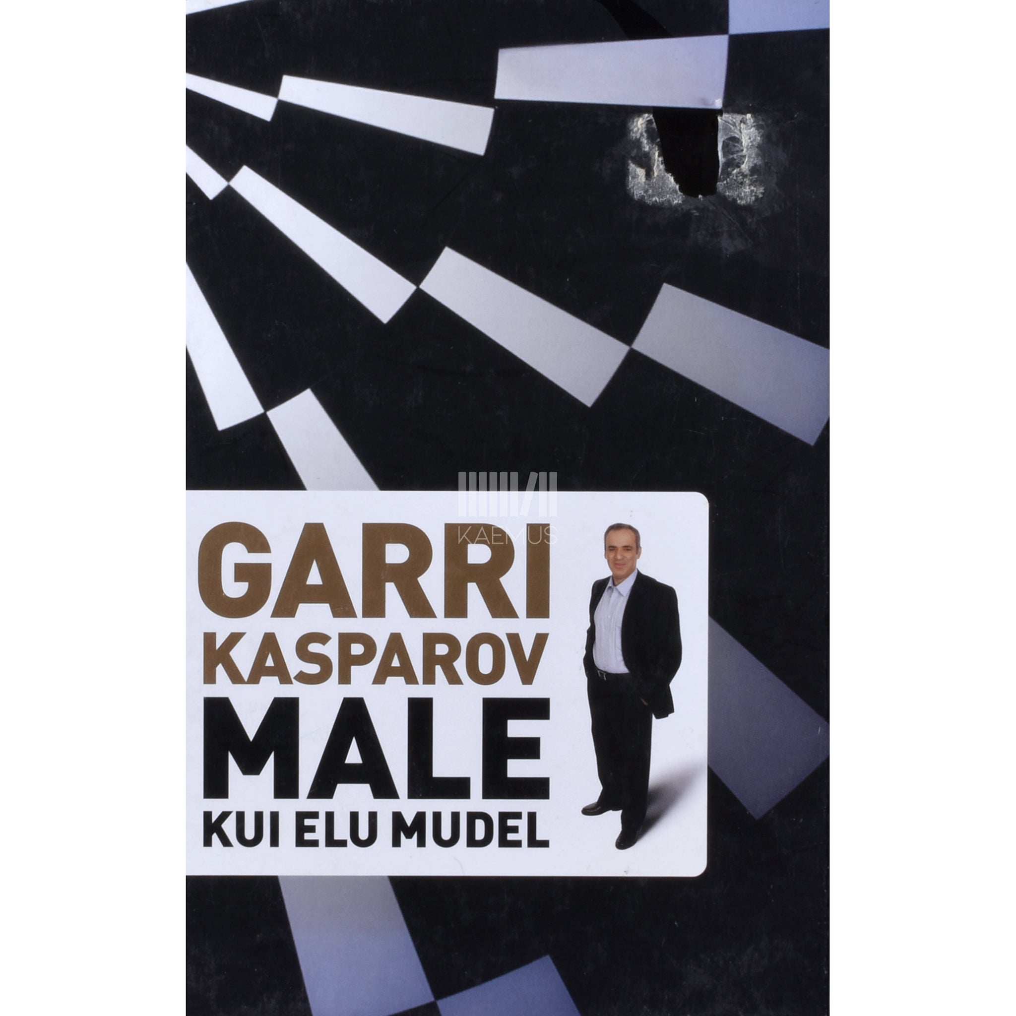 Garri Kasparov Male kui elu mudel
