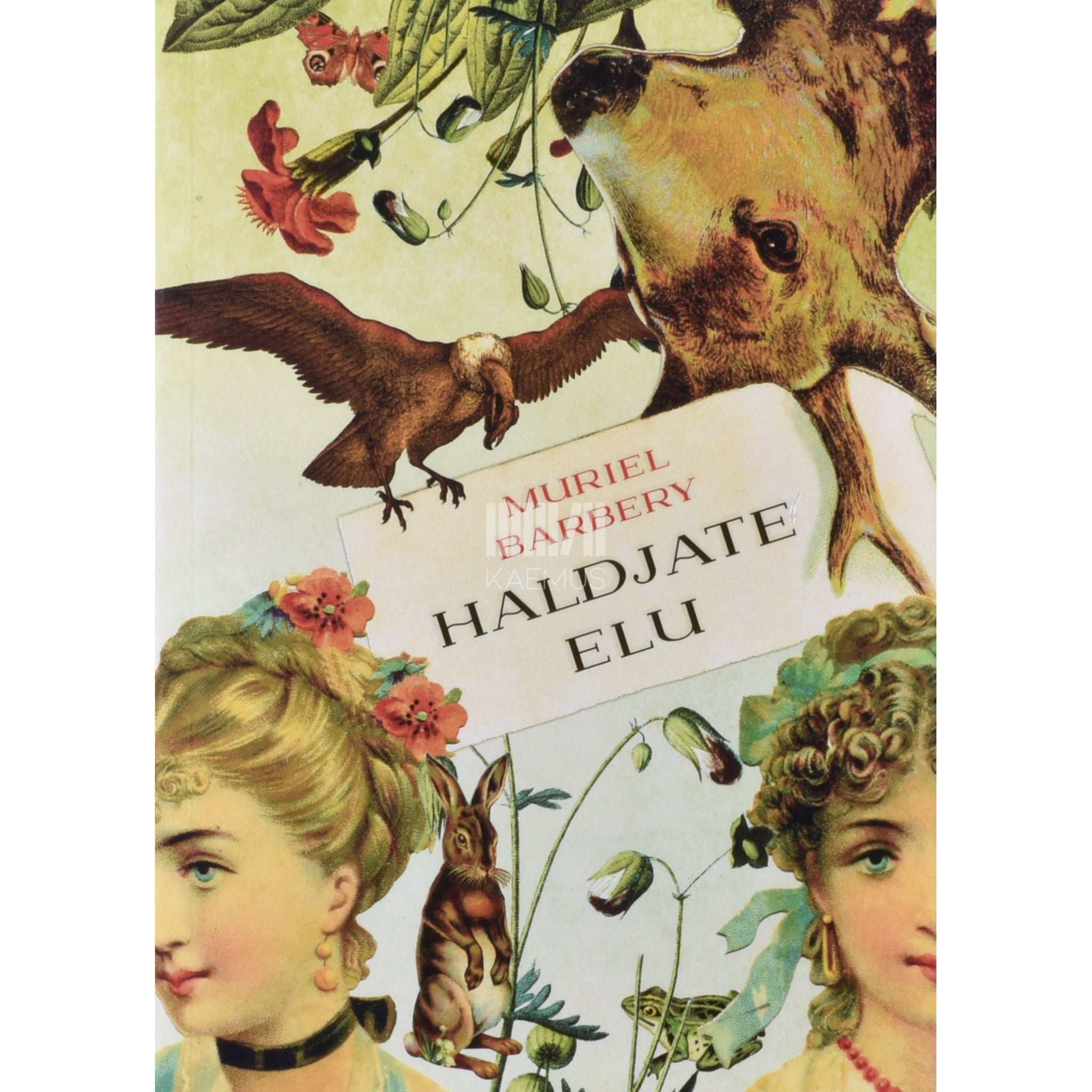 Muriel Barbery Haldjate elu