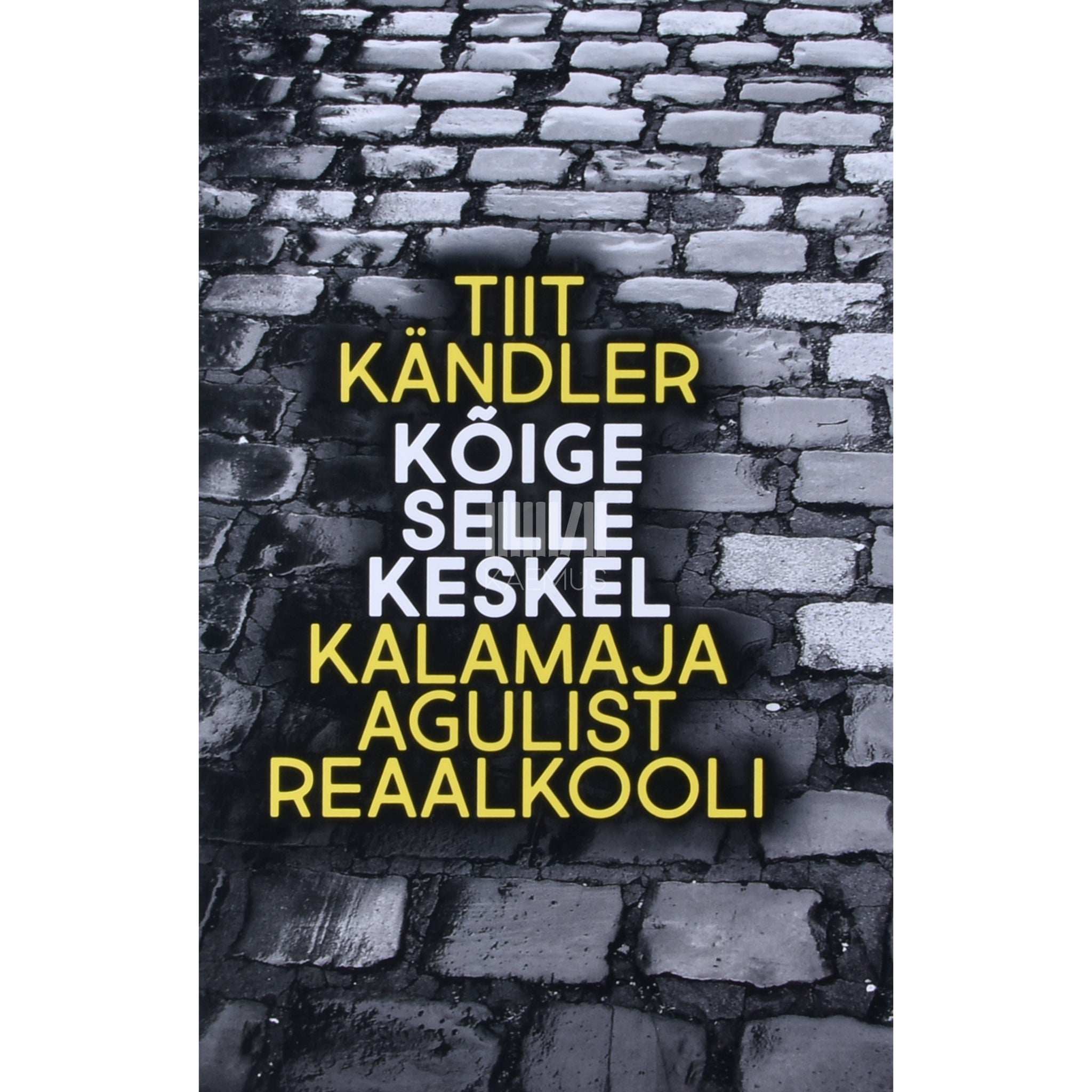 Tiit Kändler Kõige selle keskel