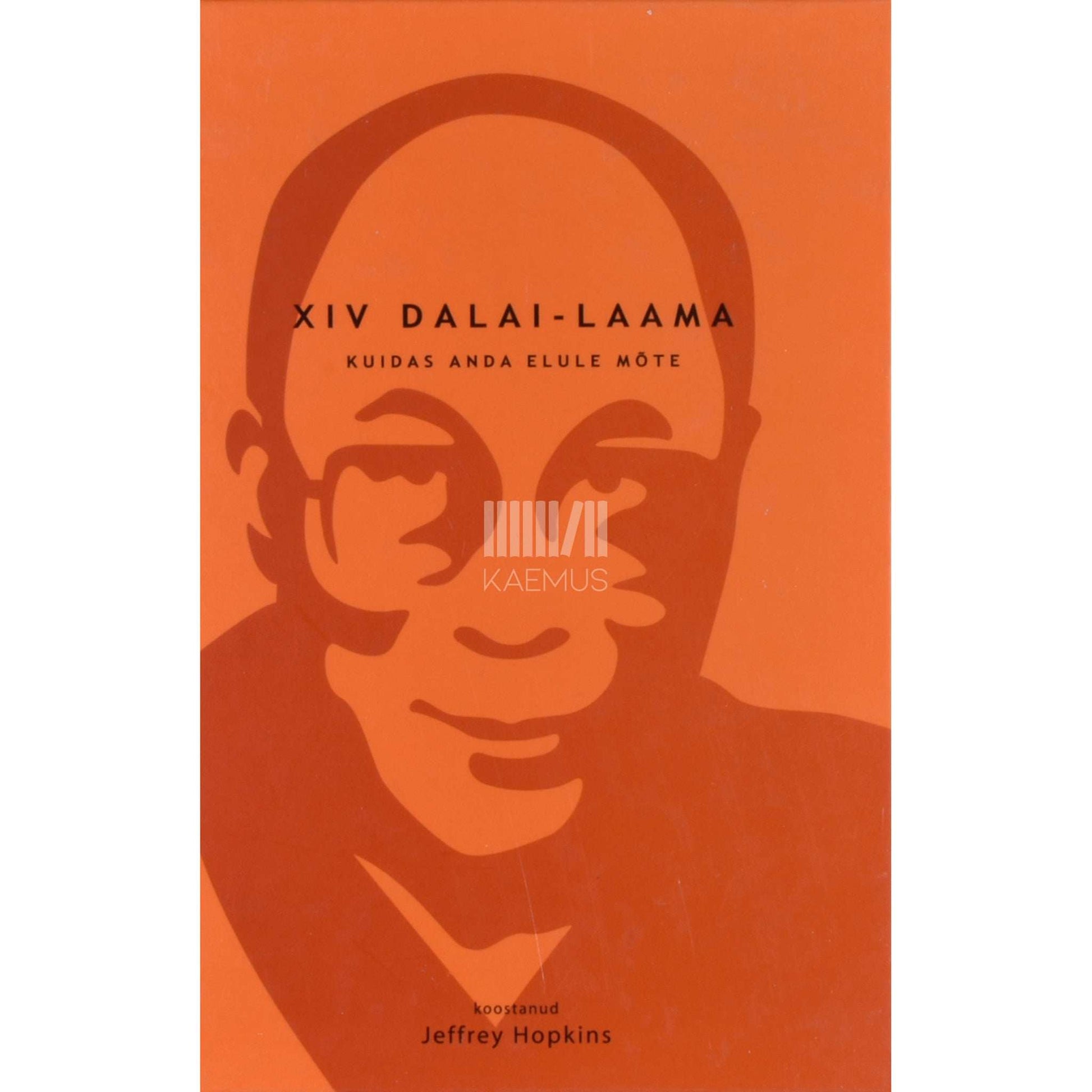 dalai-laama Tendzin Gjatsho - Kuidas anda elule mõte