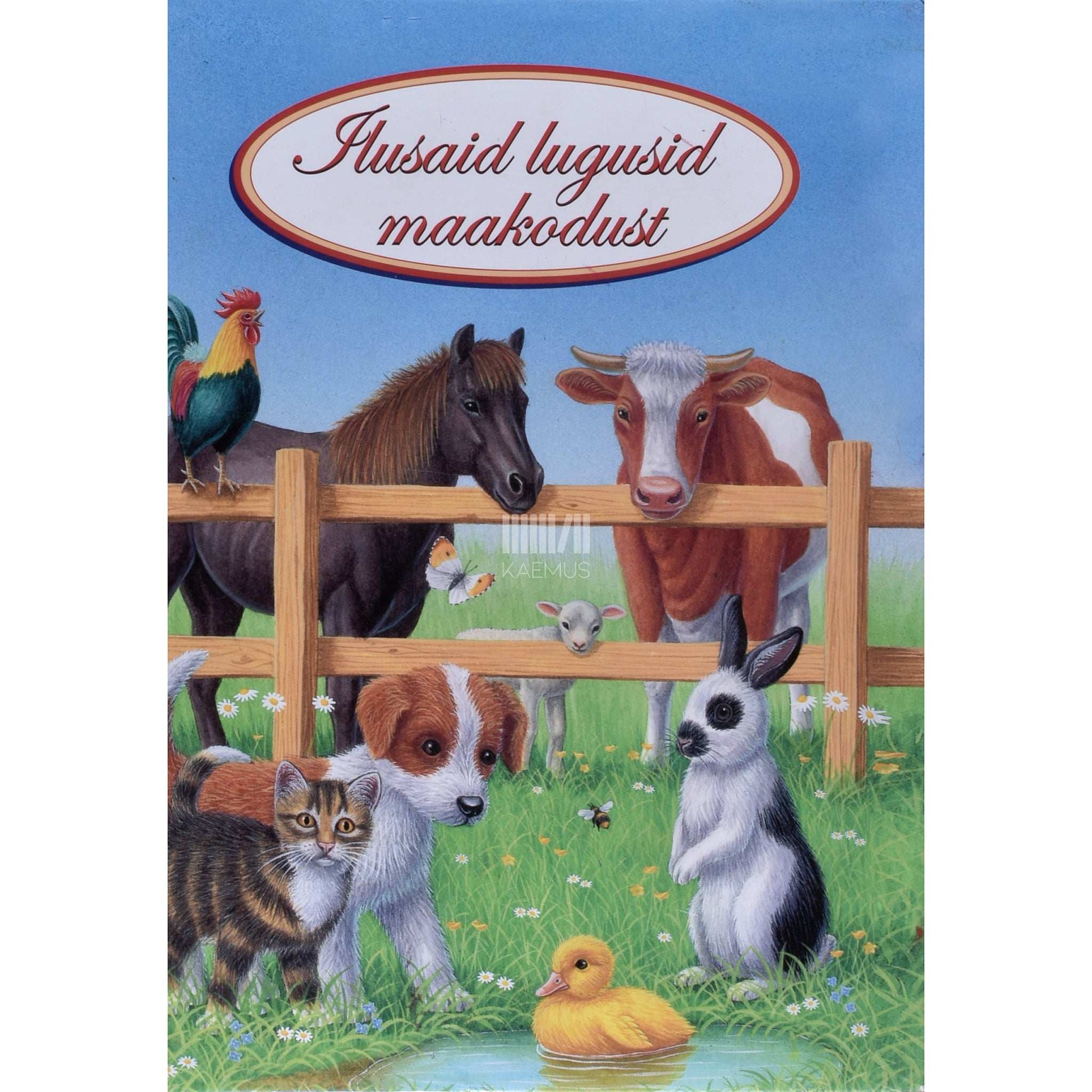 Gisela Fischer - Ilusaid lugusid maakodust