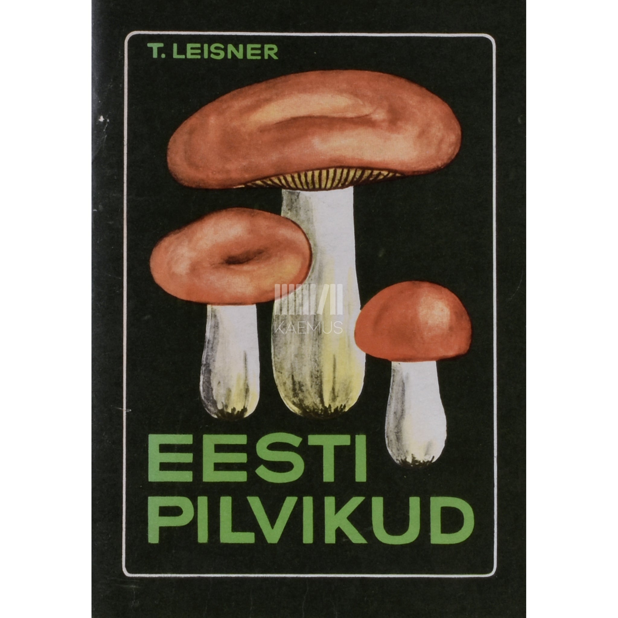 Tõnis Leisner Eesti pilvikud