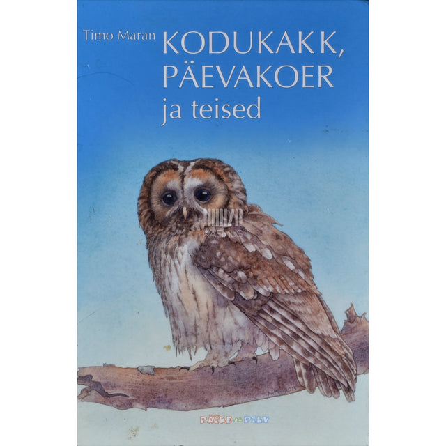 Timo Maran. Kodukakk, päevakoer ja teised