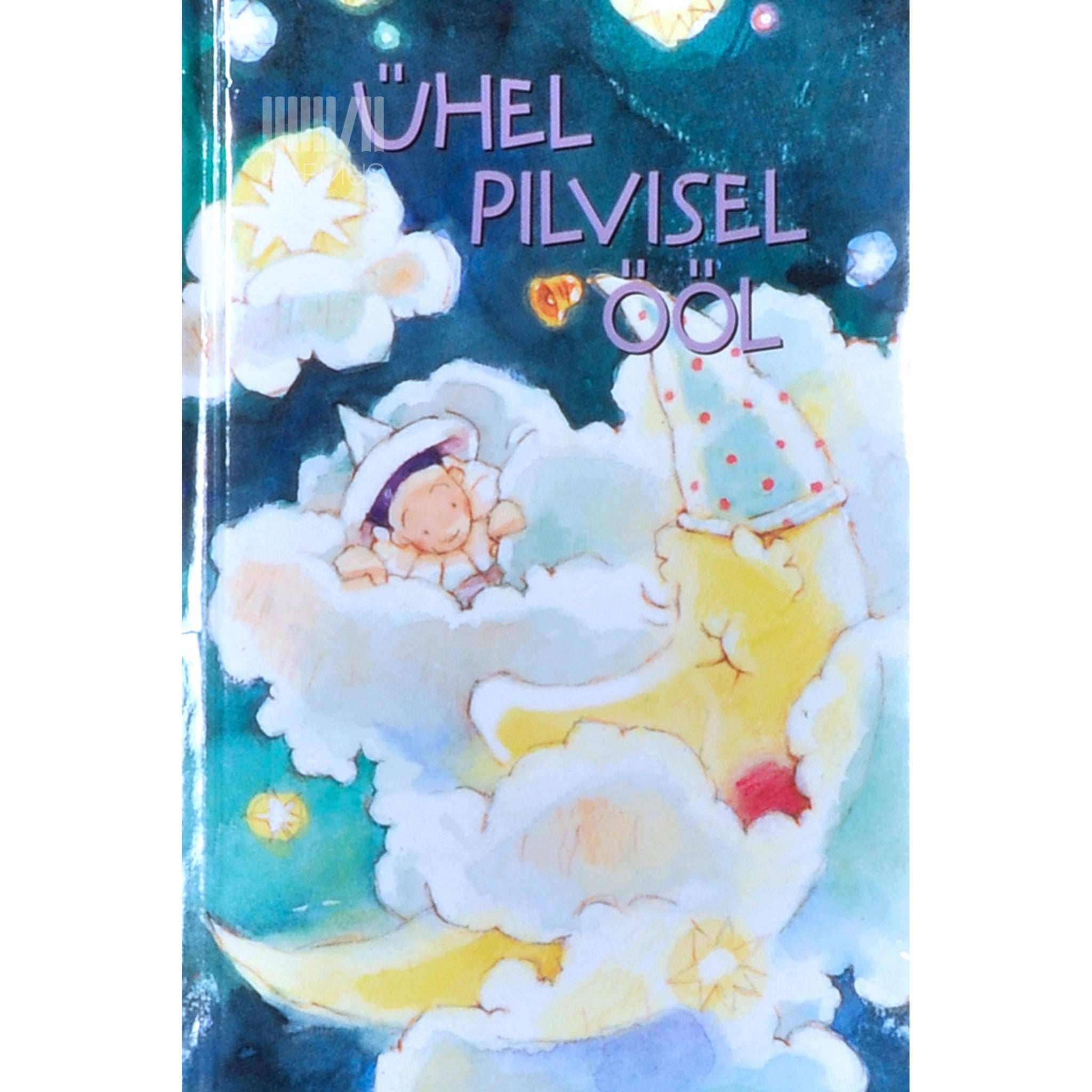 Catherina Solyom Ühel pilvisel ööl