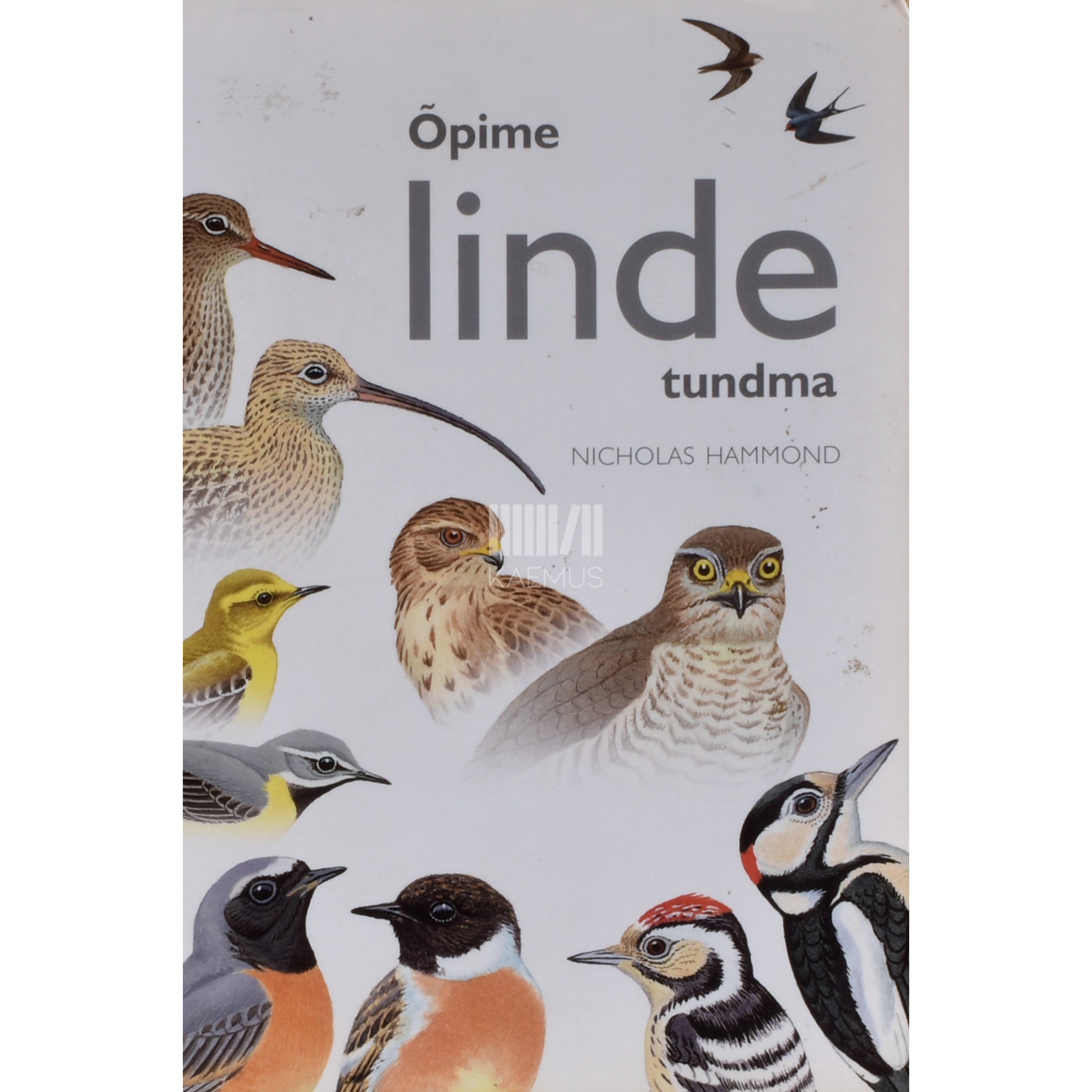 Nicholas Hammond Õpime linde tundma