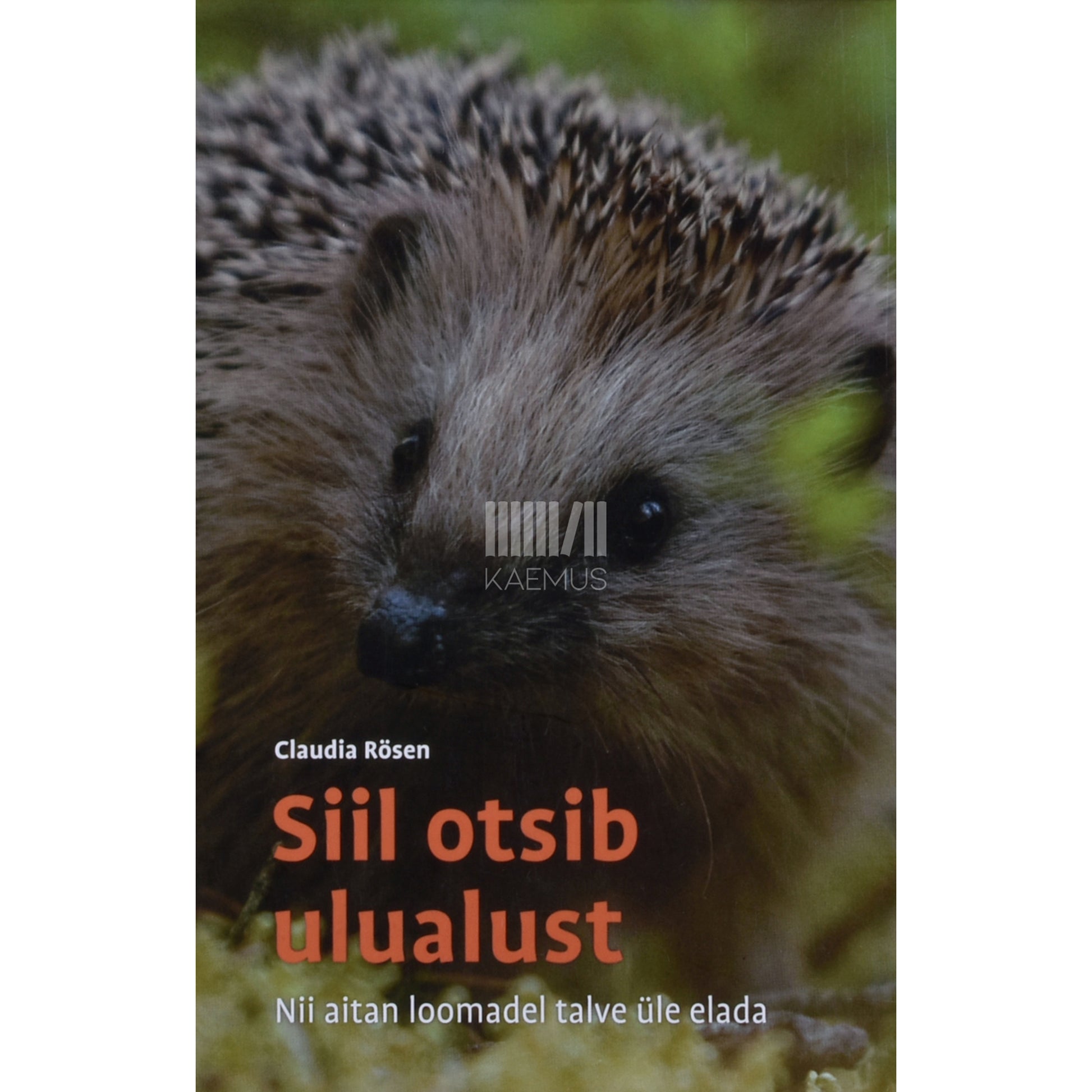 Claudia Rösen. Siil otsib ulualust