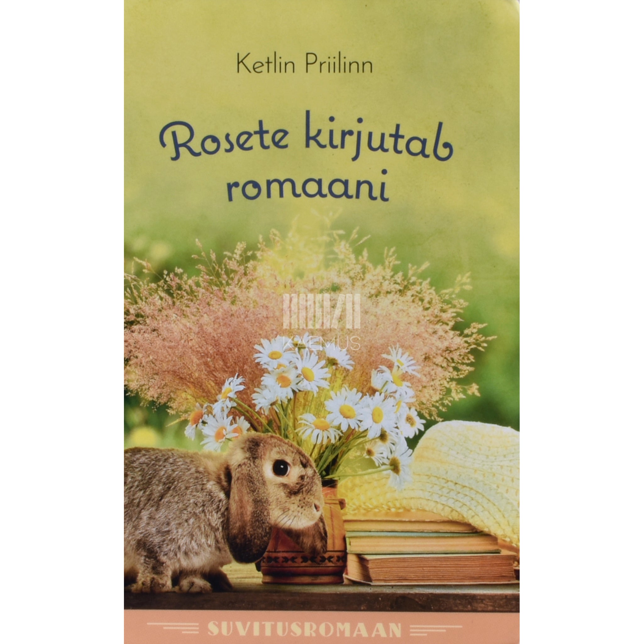 ... Rosete kirjutab romaani