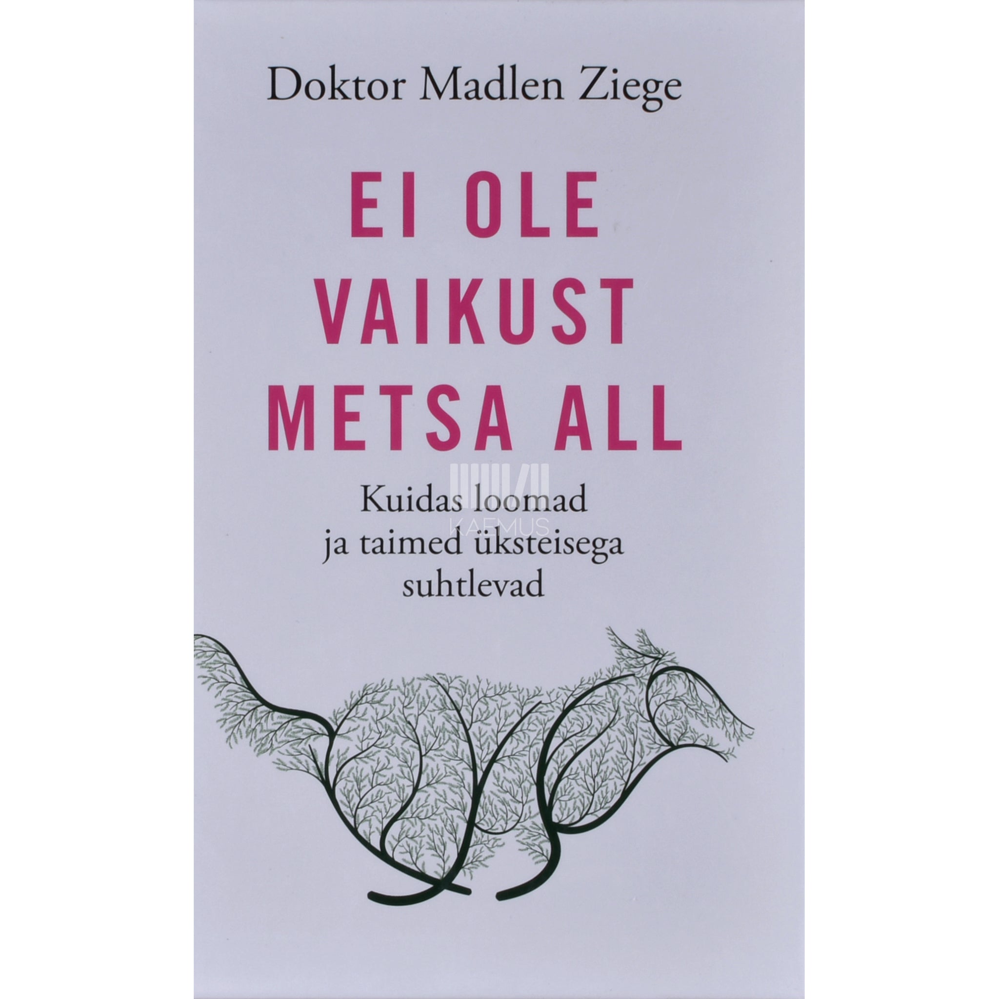 Madlen Ziege Ei ole vaikust metsa all
