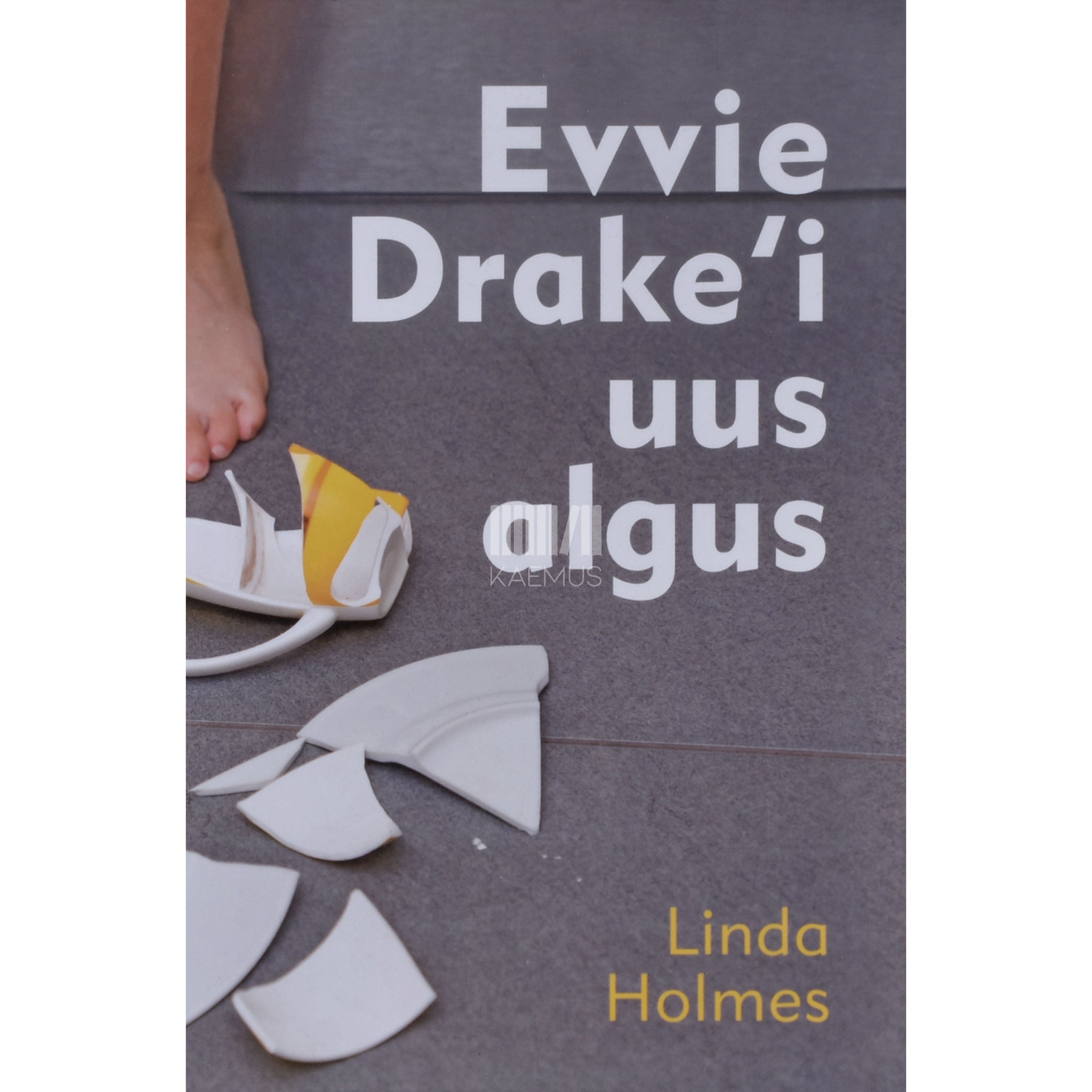 Linda Holmes Evvie Drake´I uus algus