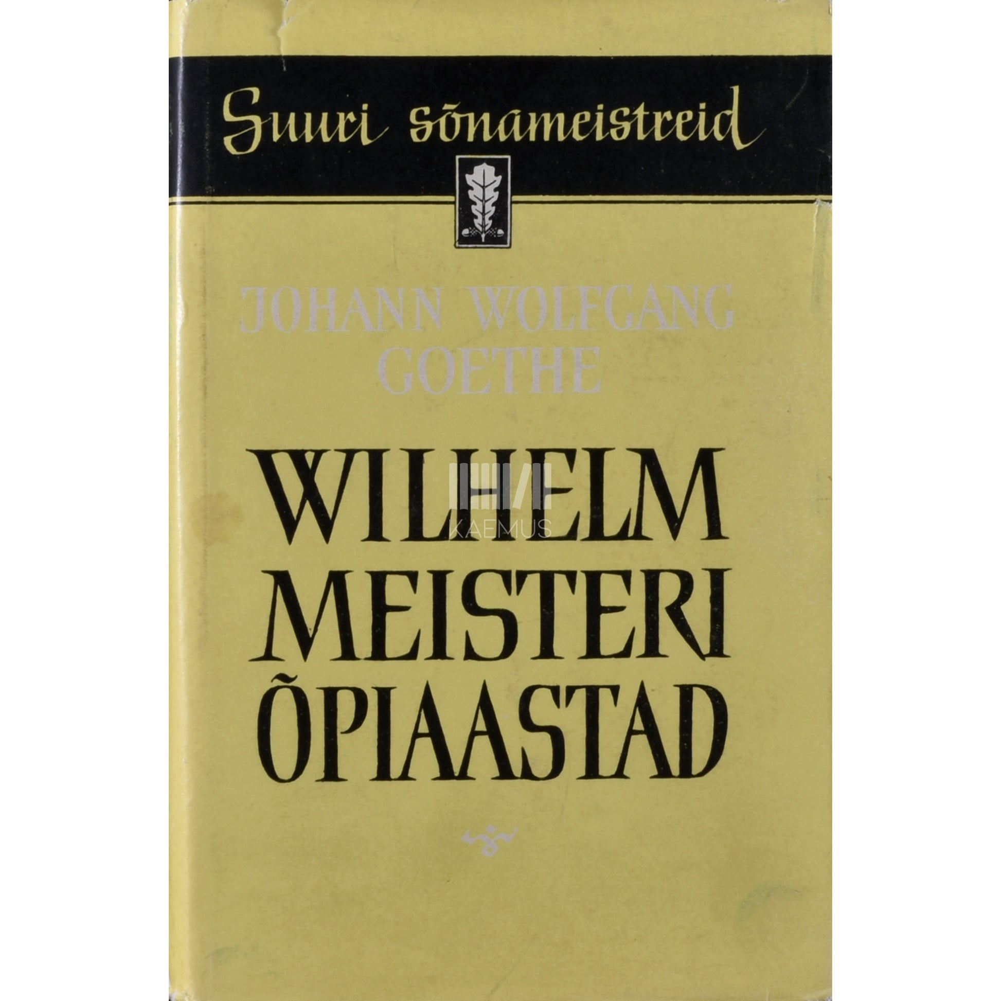 Johann Wolfgang von Goethe. Wilhelm Meisteri õpiaastad