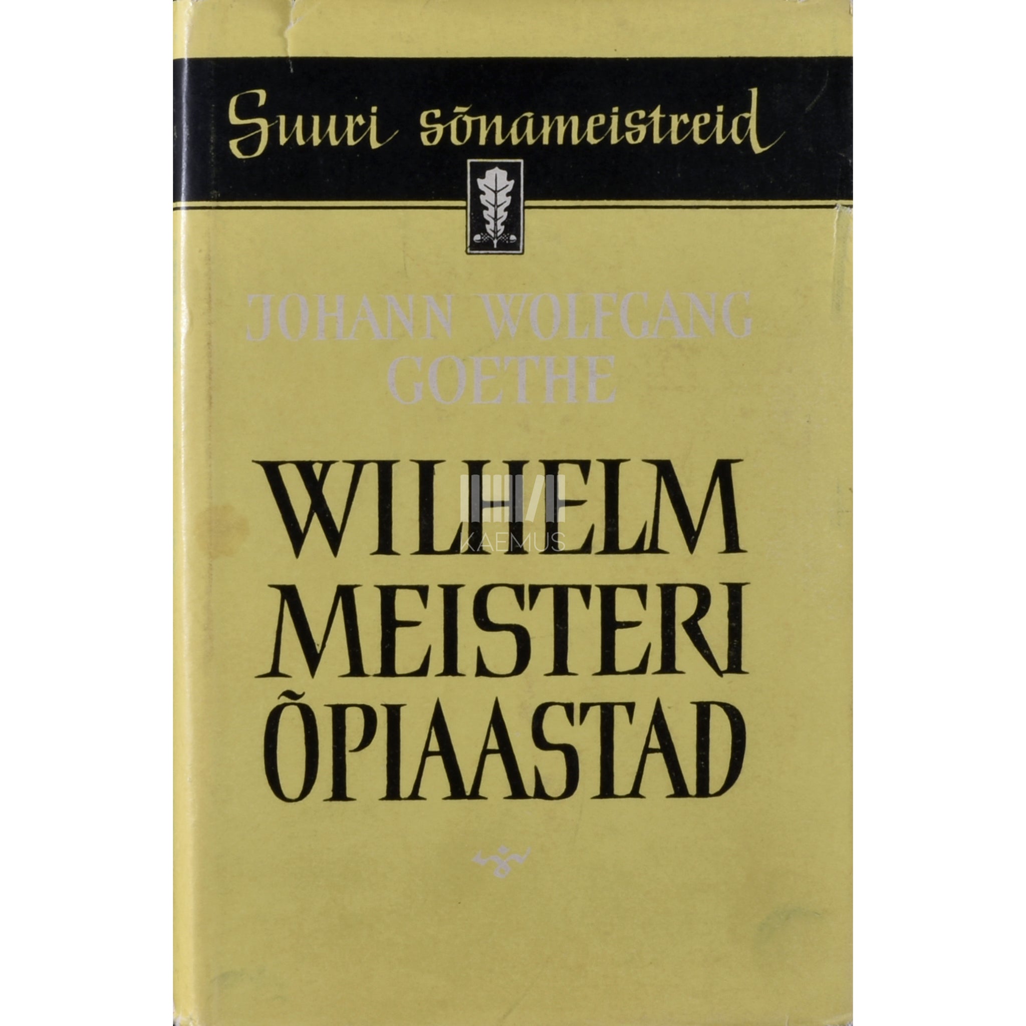 Johann Wolfgang von Goethe Wilhelm Meisteri õpiaastad