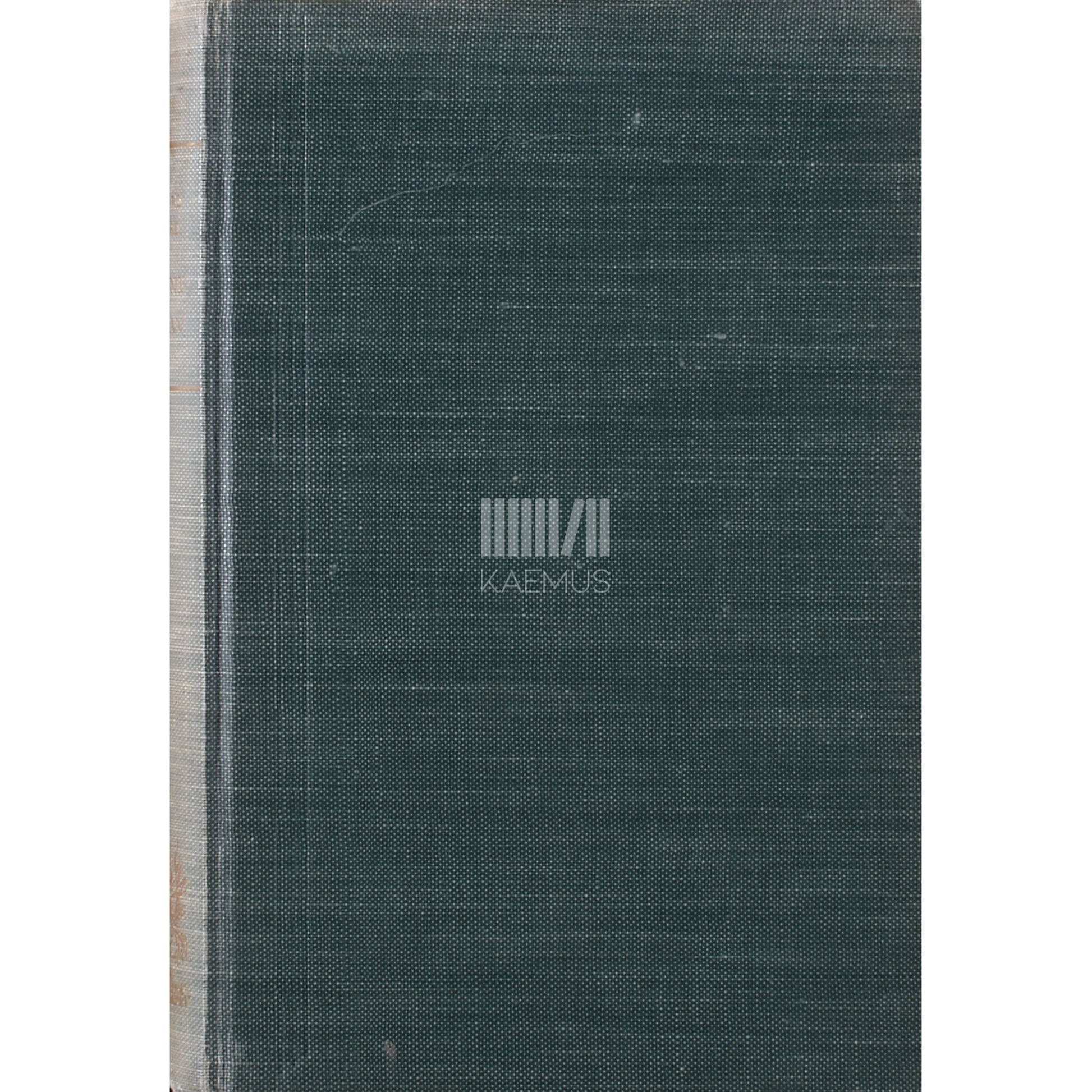 Bernard Kangro. Sinine värav