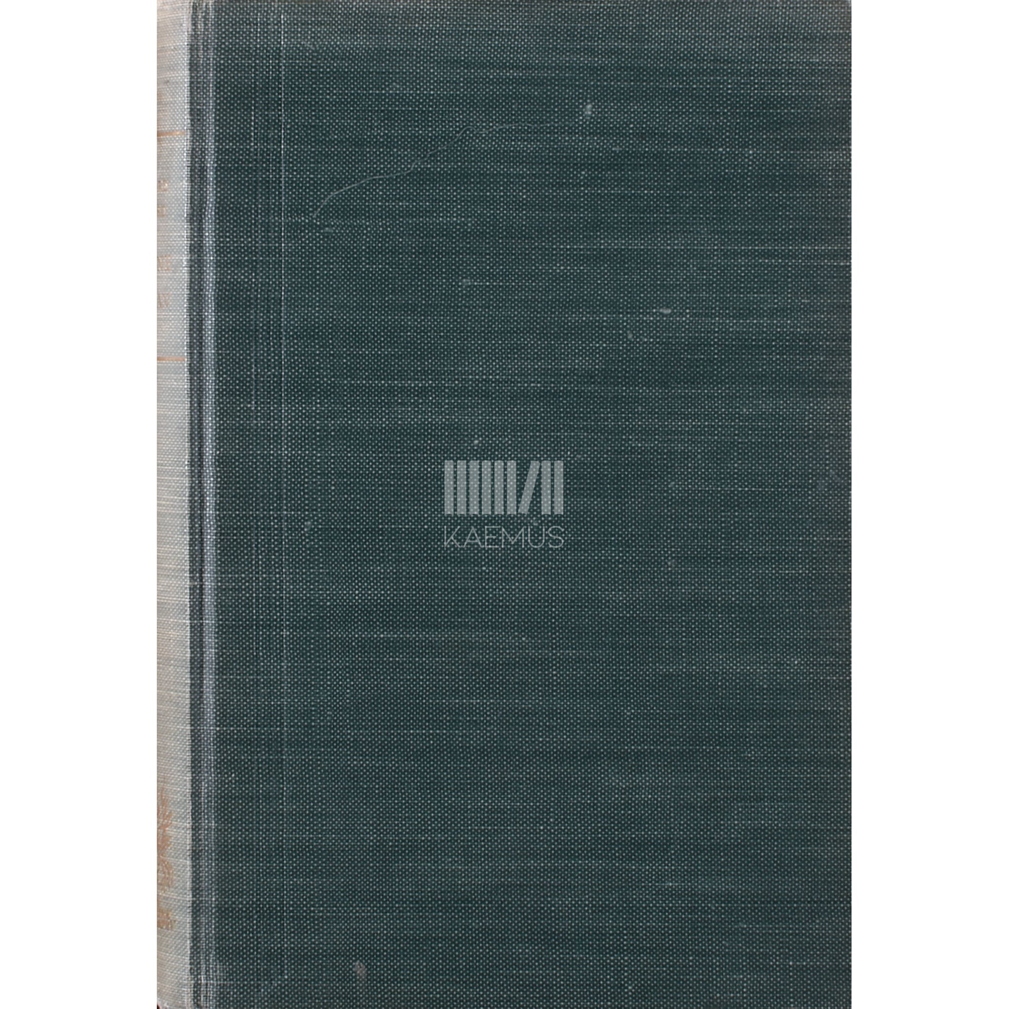 Bernard Kangro Sinine värav