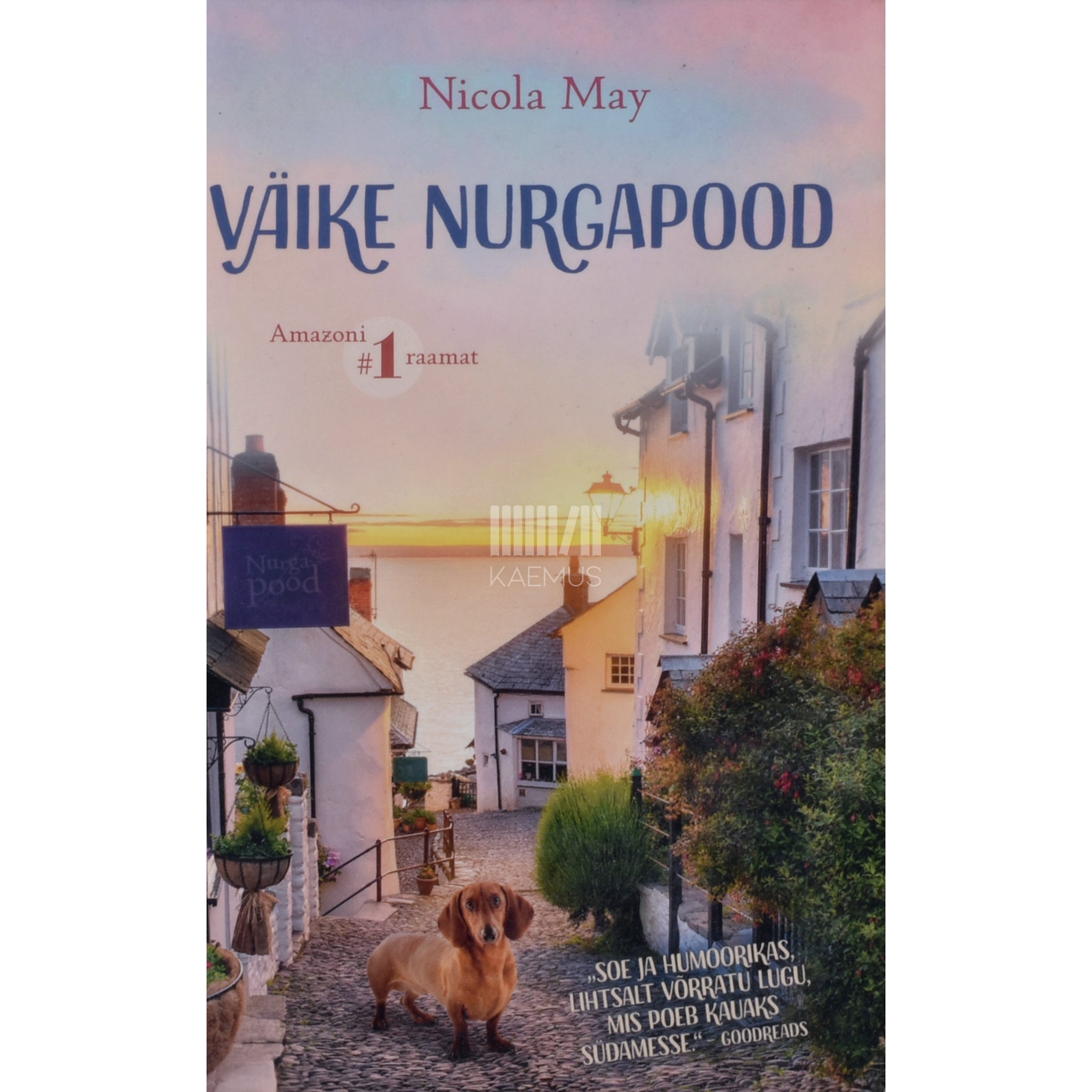 Nicola May Väike nurgapood 1. osa