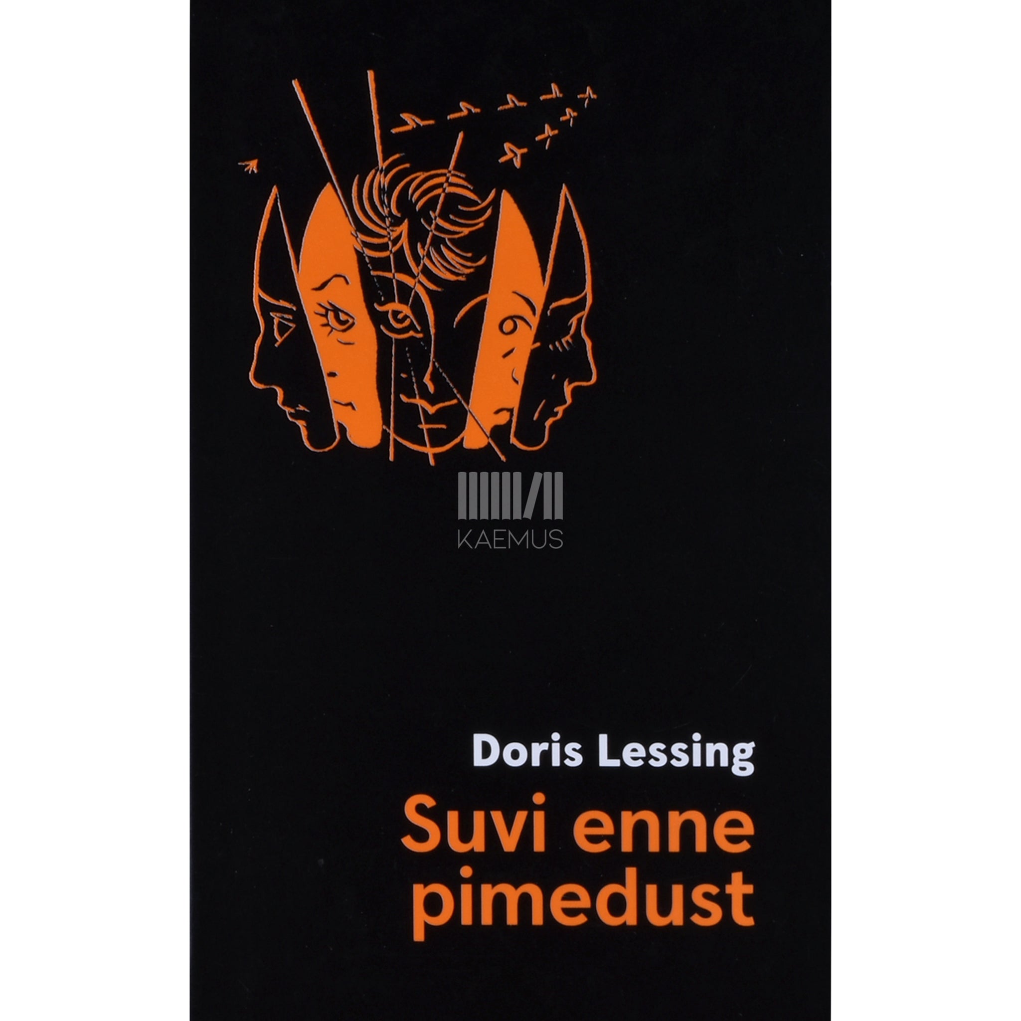 Doris Lessing Suvi enne pimedust