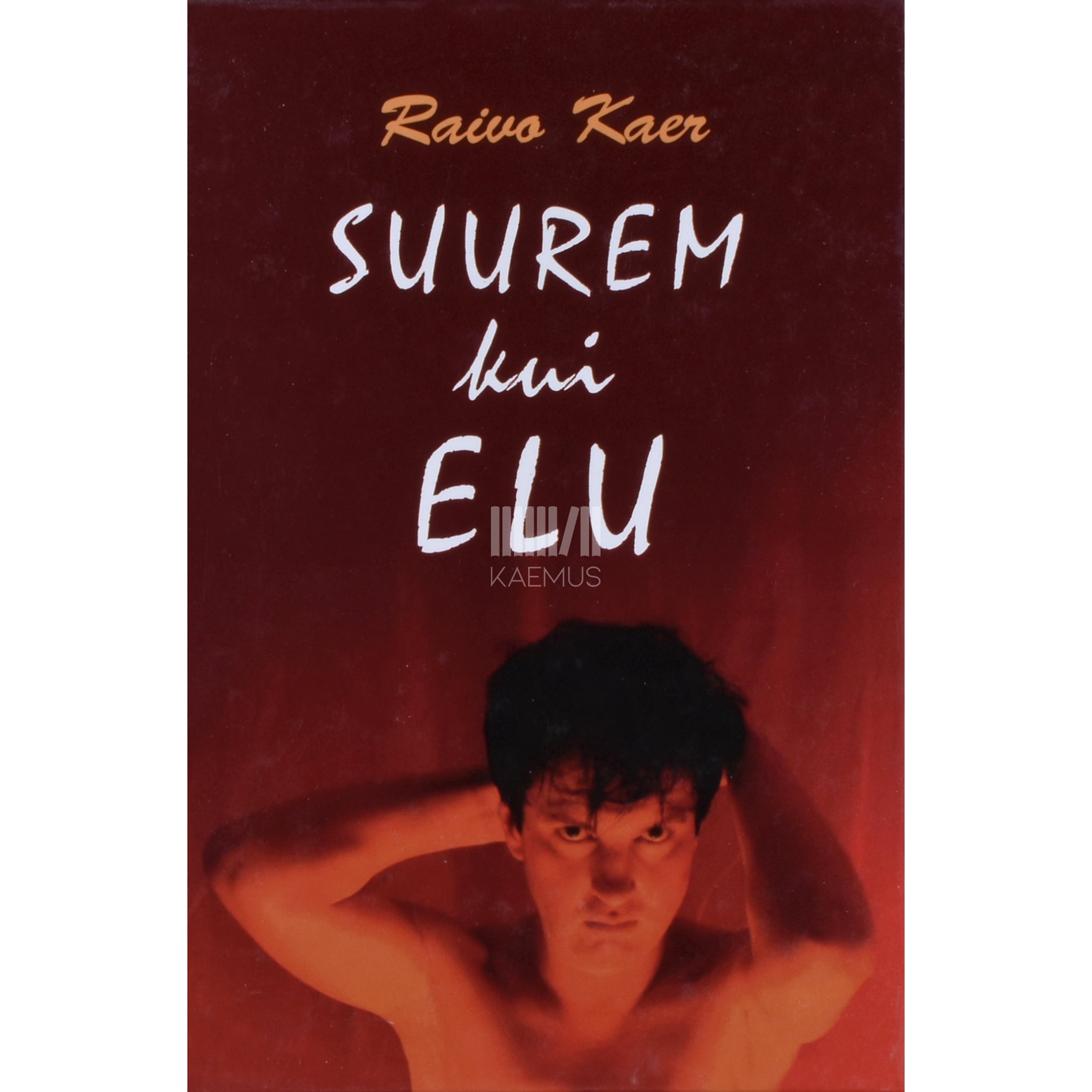 Raivo Kaer Suurem kui elu