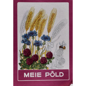 ... Meie põld. Värvimisvihik lastele
