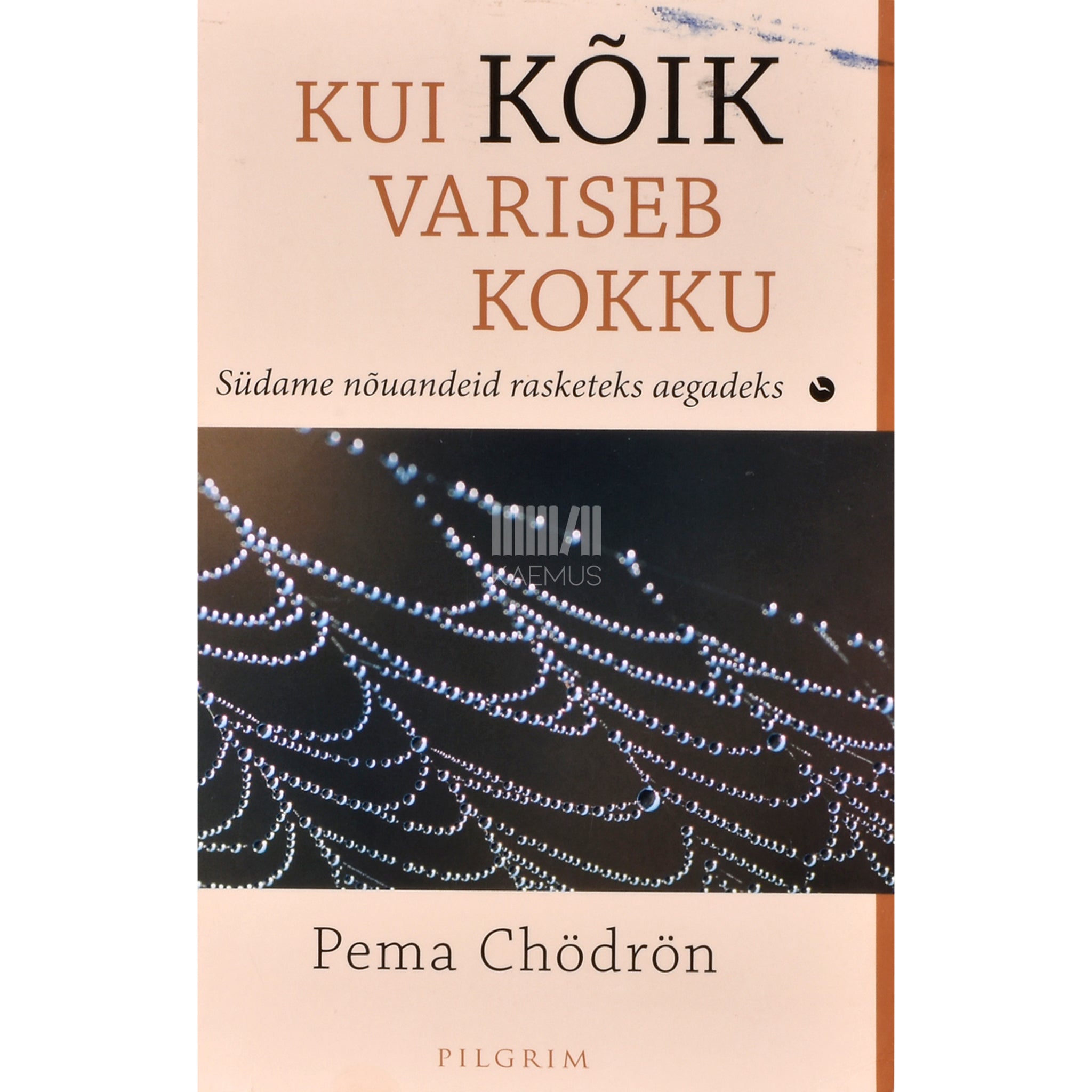 Pema Chödrön Kui kõik variseb kokku