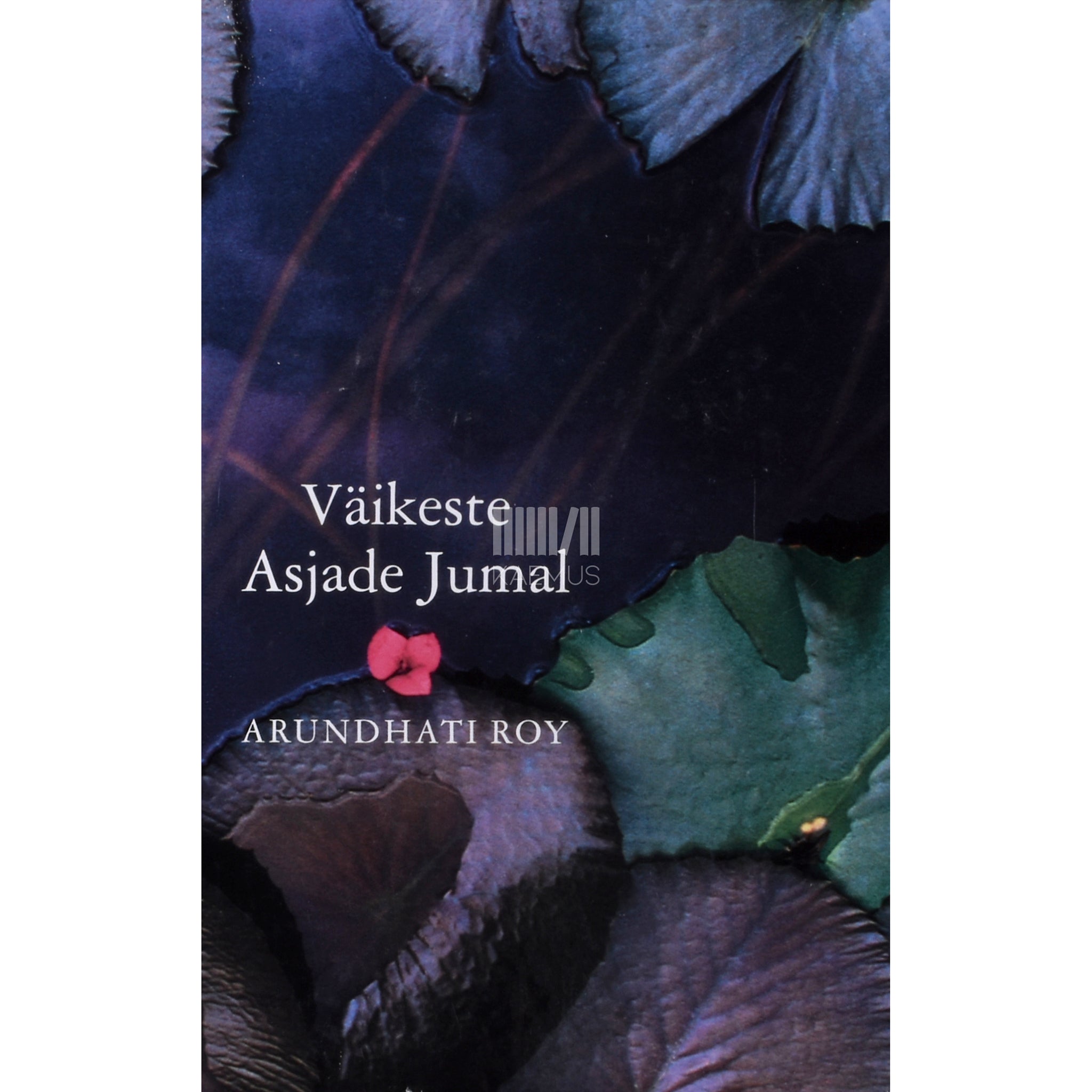 Arundhati Roy Väikeste Asjade Jumal