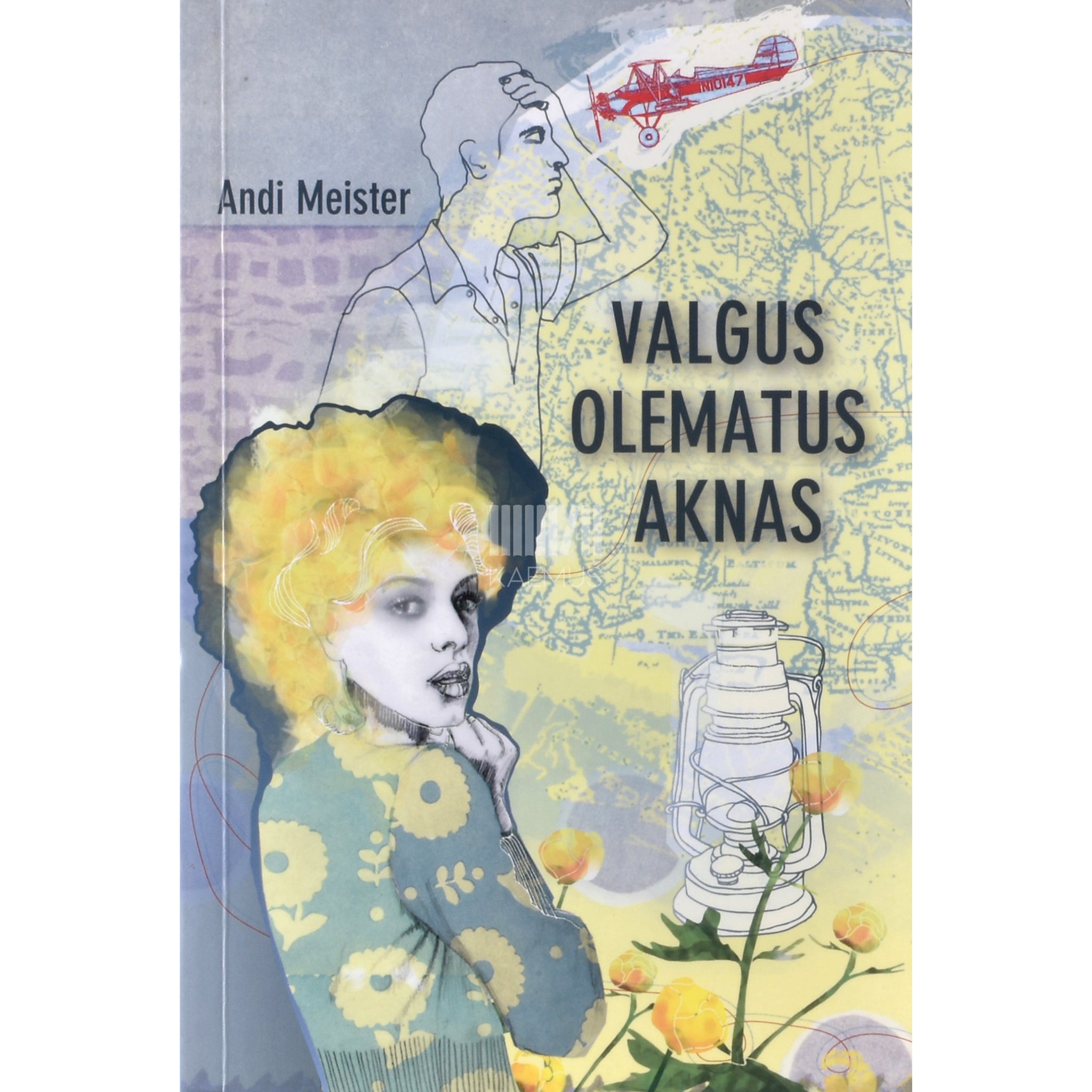 Andi Meister Valgus olematus aknas