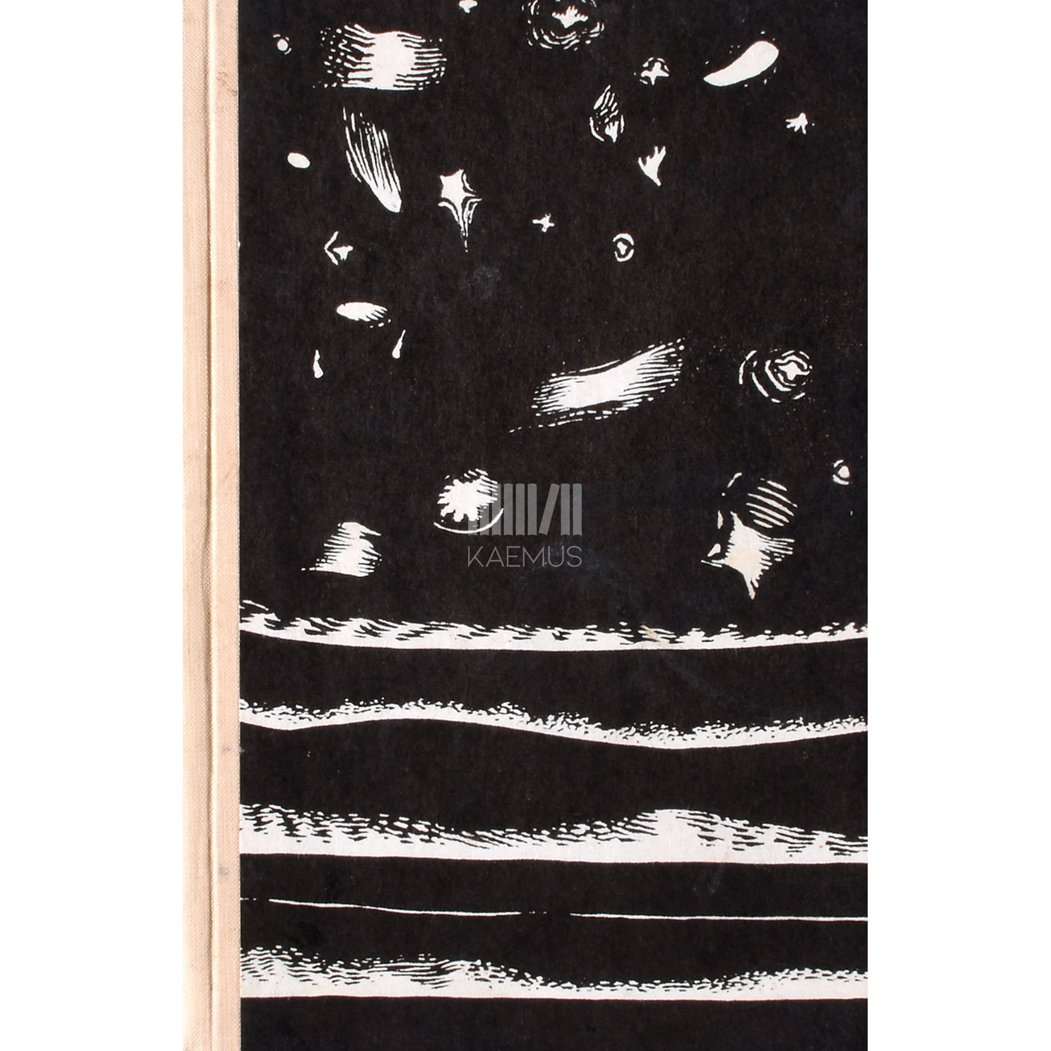 Aadu Hint Viimane vandiraiuja