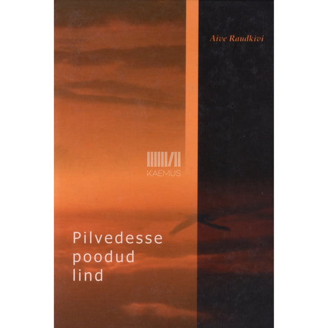 Aive Raudkivi. Pilvedesse poodud lind