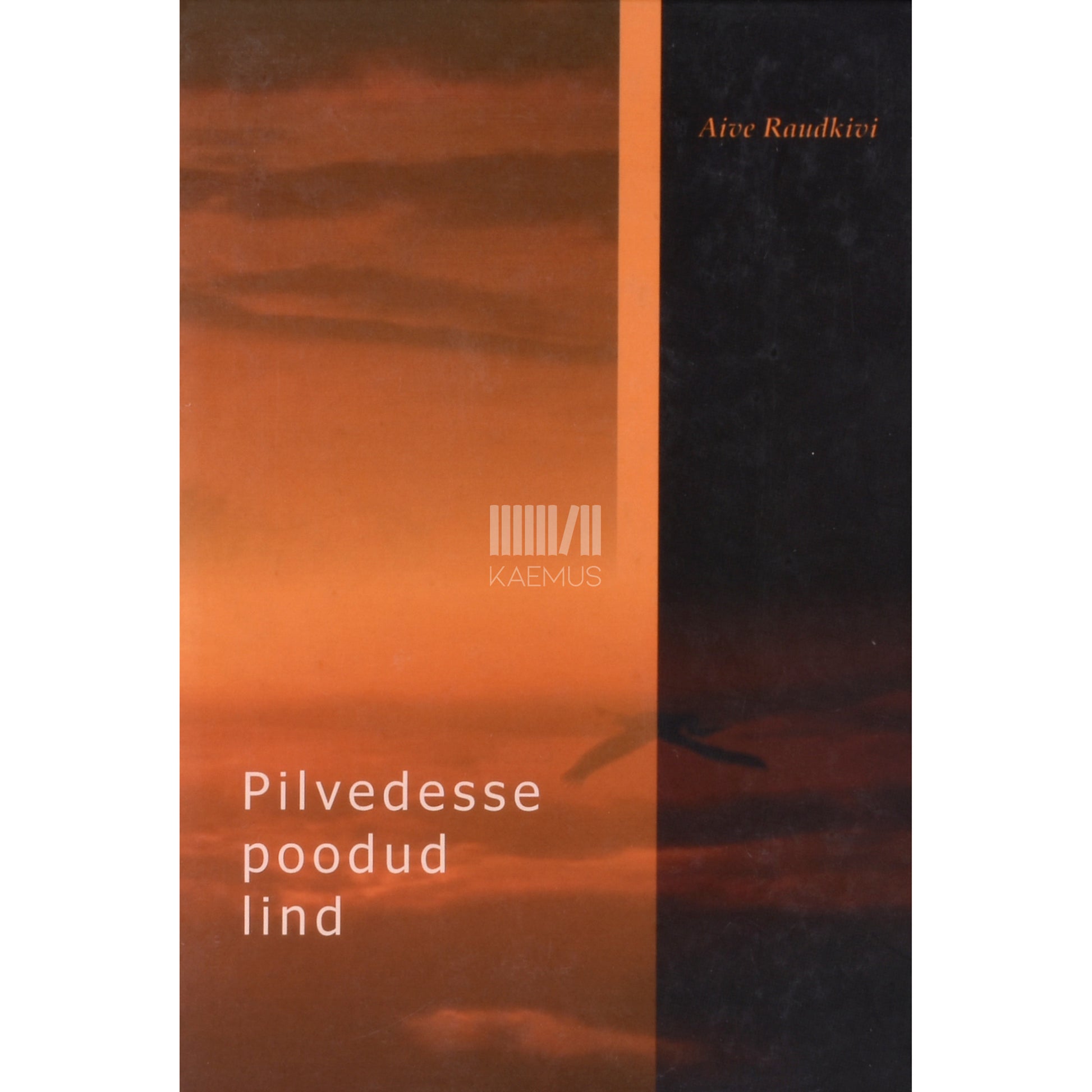 Aive Raudkivi. Pilvedesse poodud lind