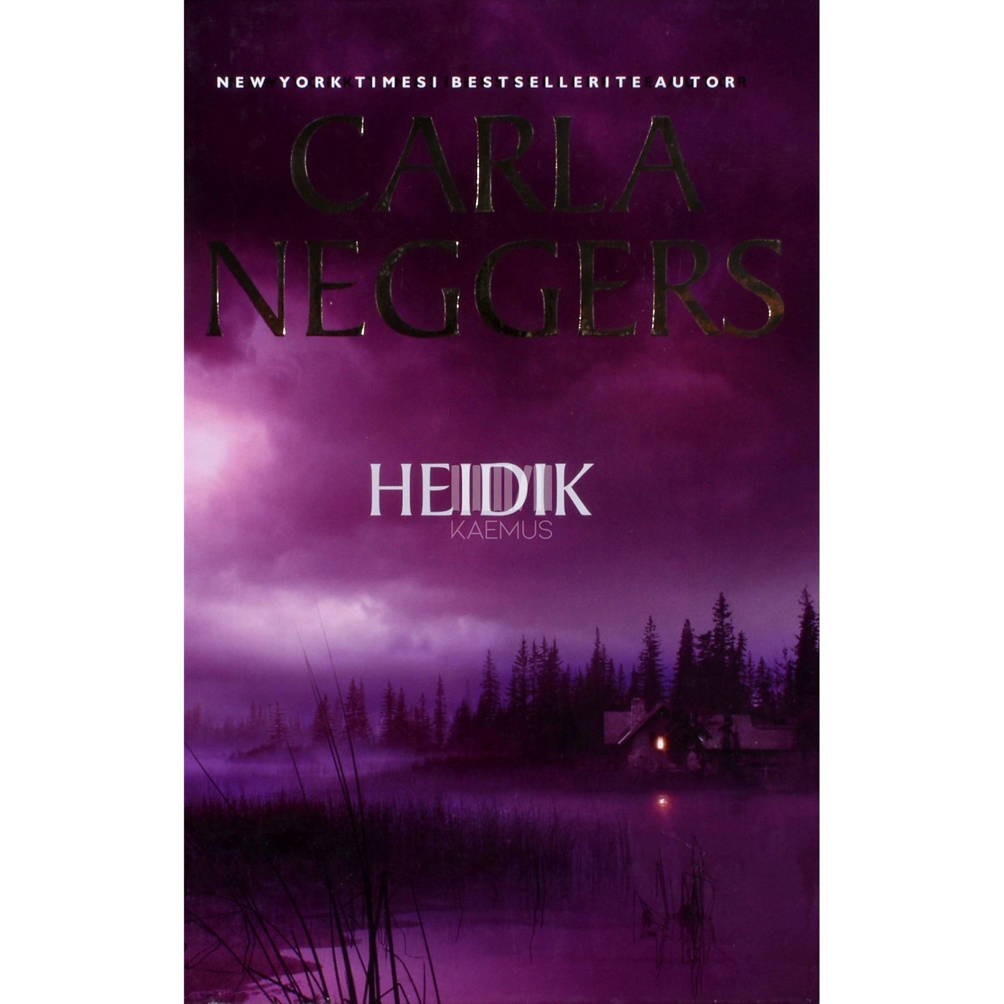 Carla Neggers Heidik