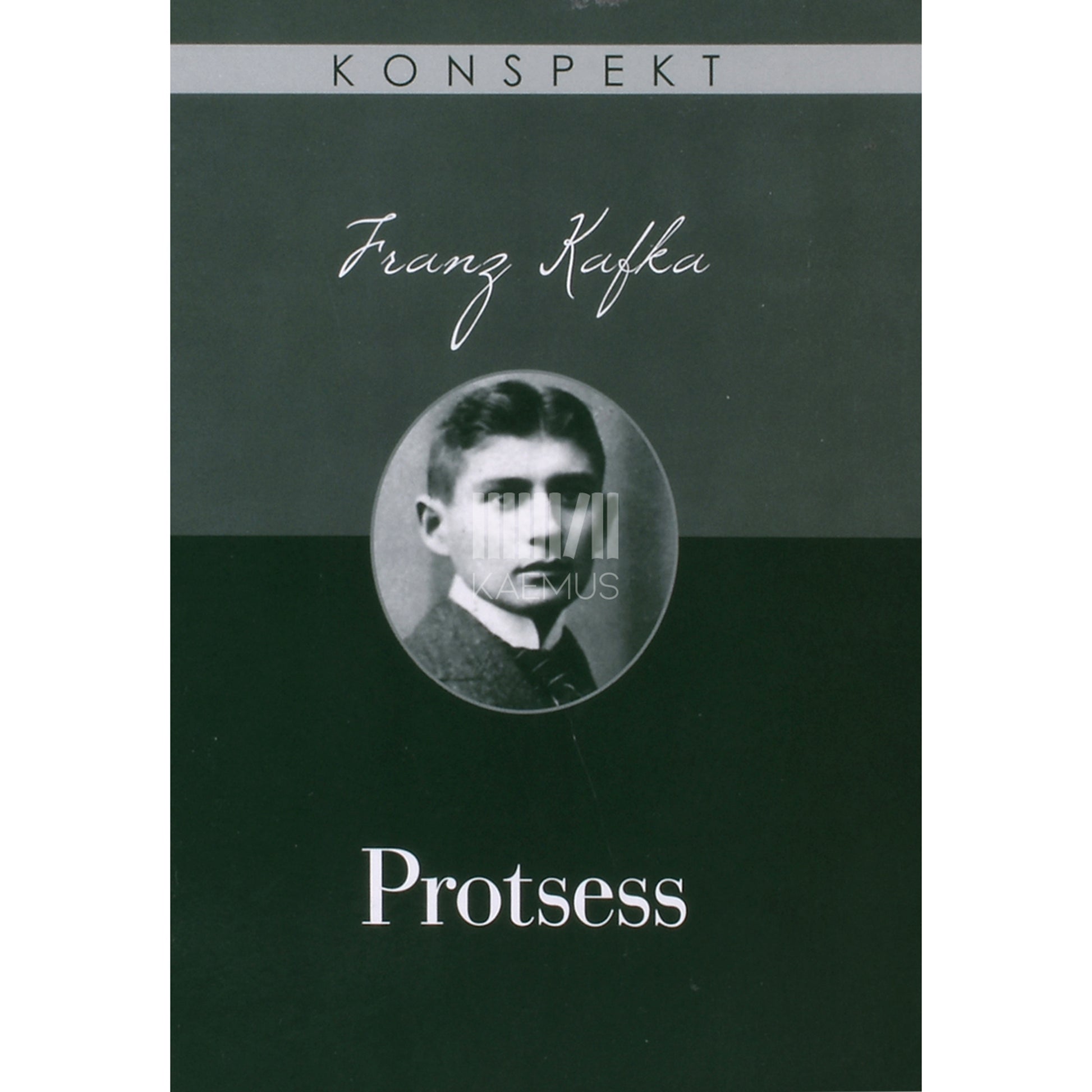 Wilhelm Grosse. Franz Kafka. Protsess