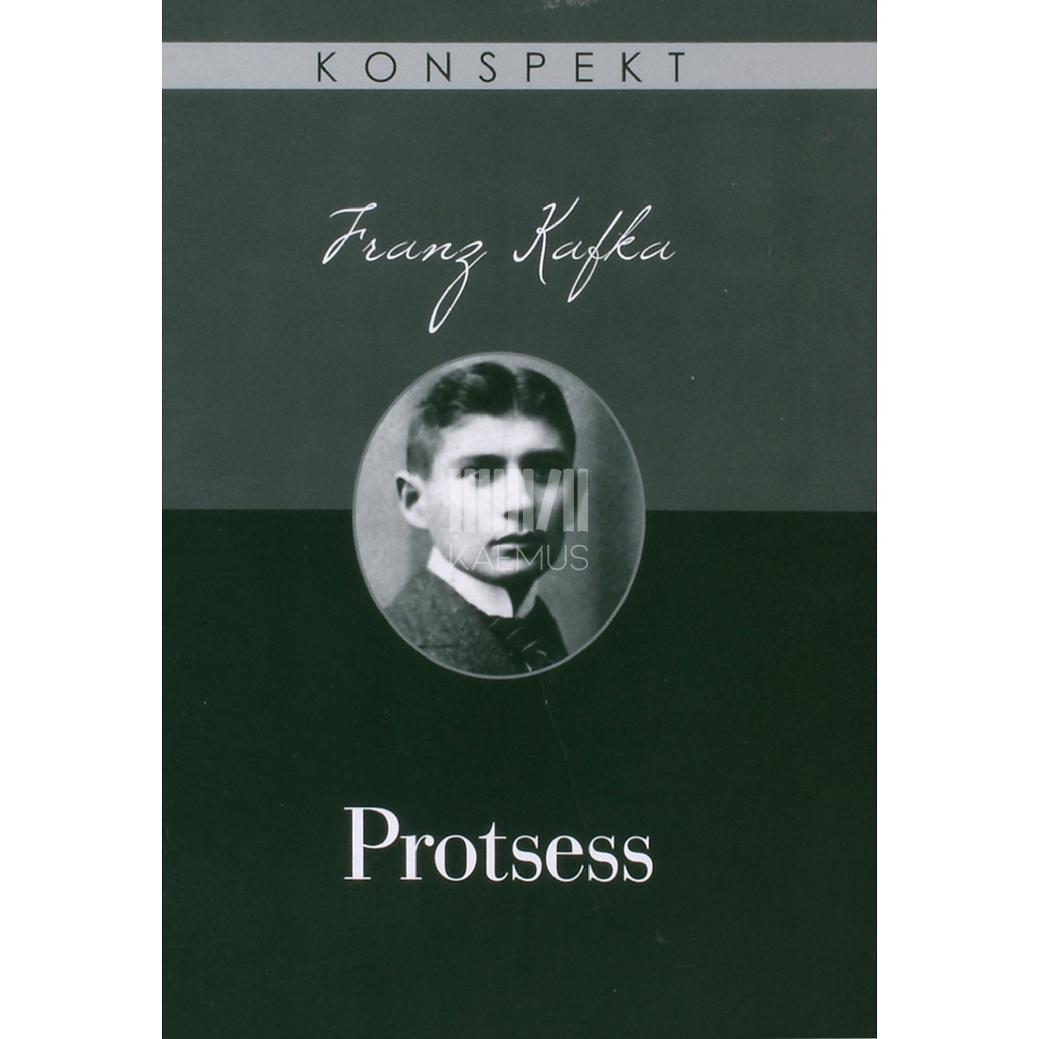 Wilhelm Grosse Franz Kafka. Protsess
