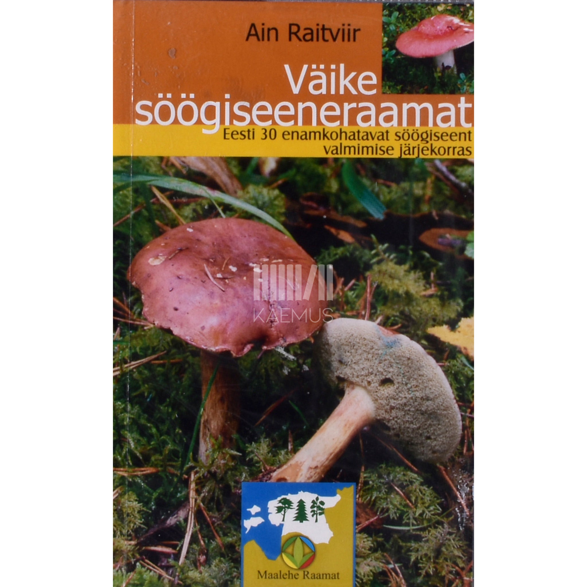 Ain Raitviir Väike söögiseeneraamat