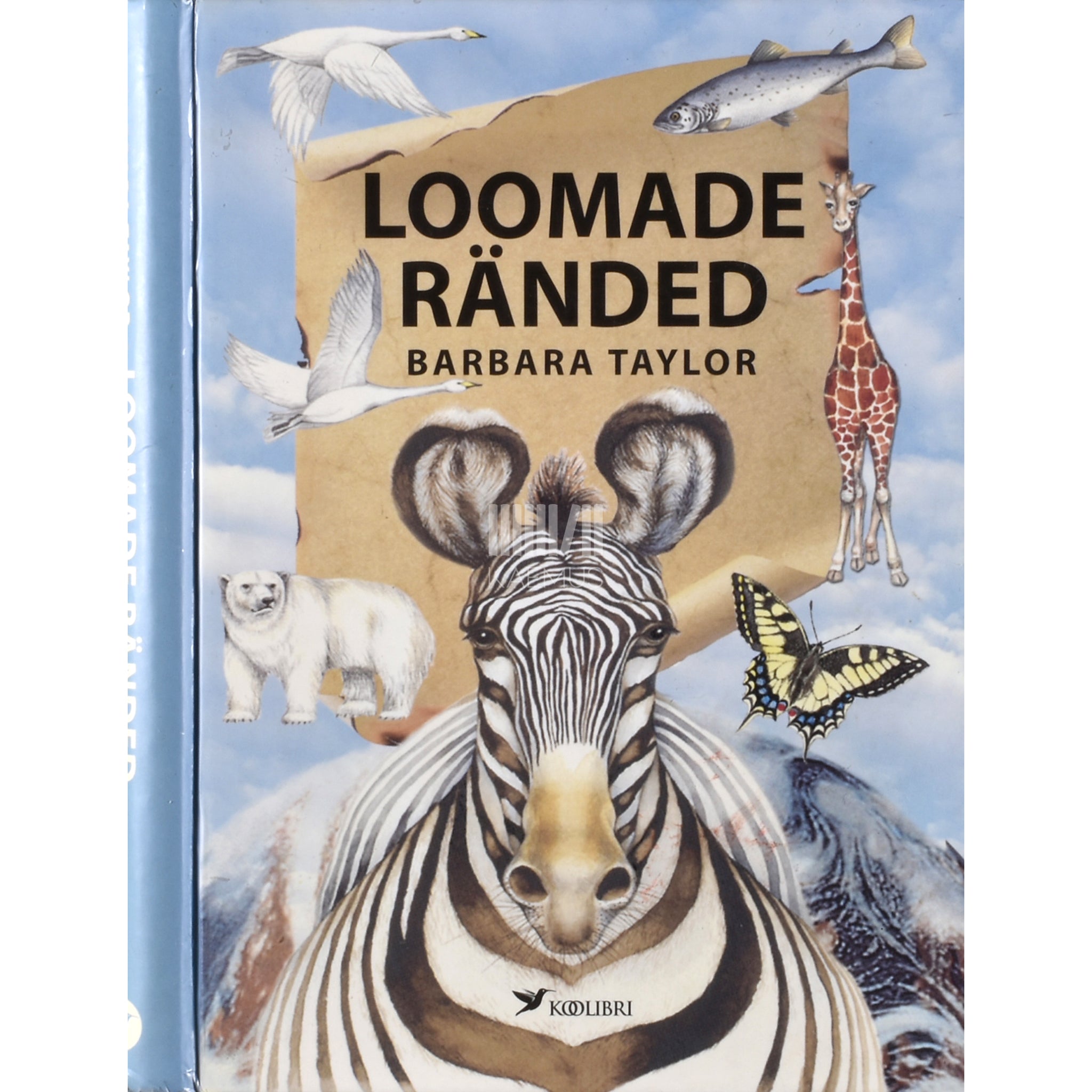 Barbara Taylor Loomade ränded