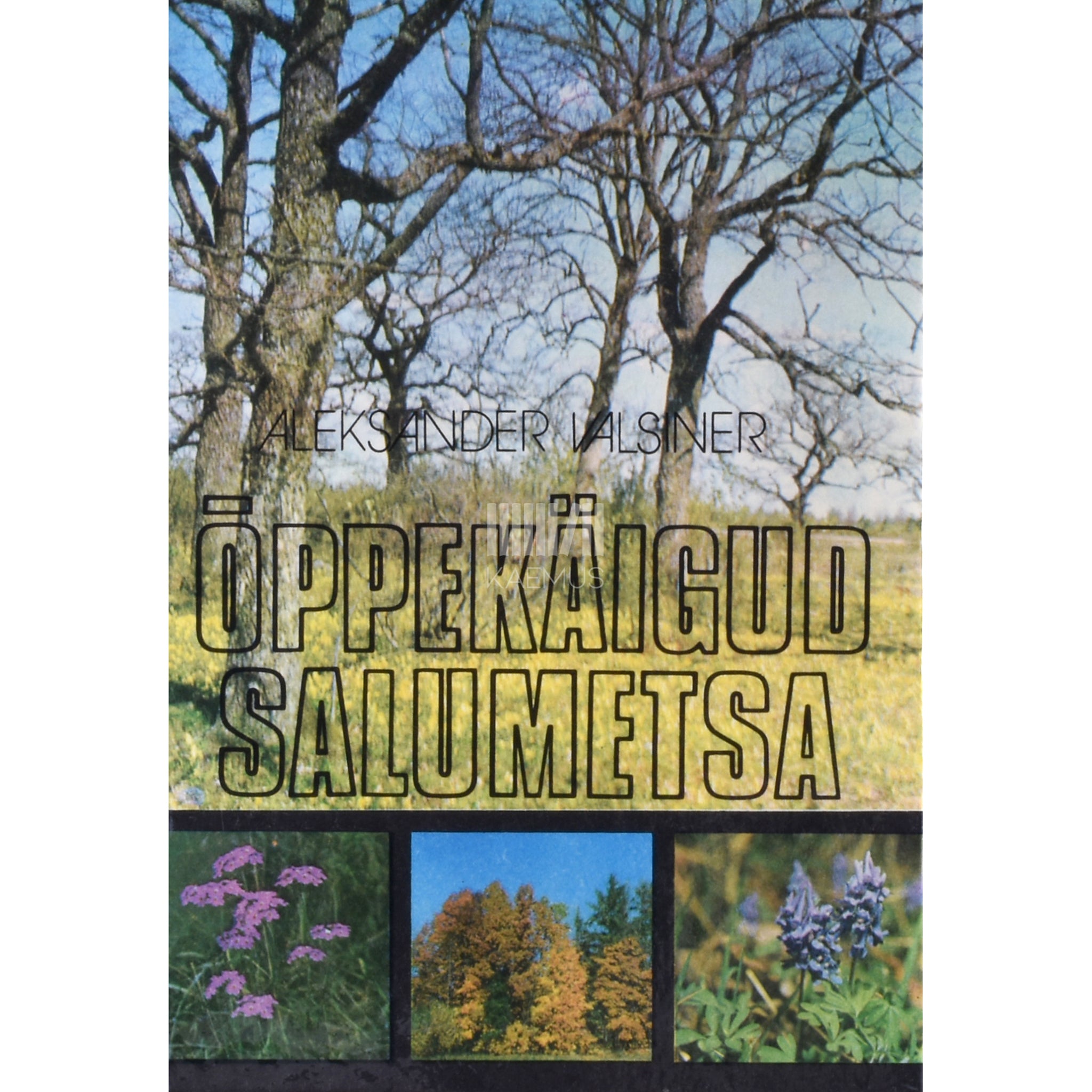 Aleksander Valsiner Õppekäigud salumetsa