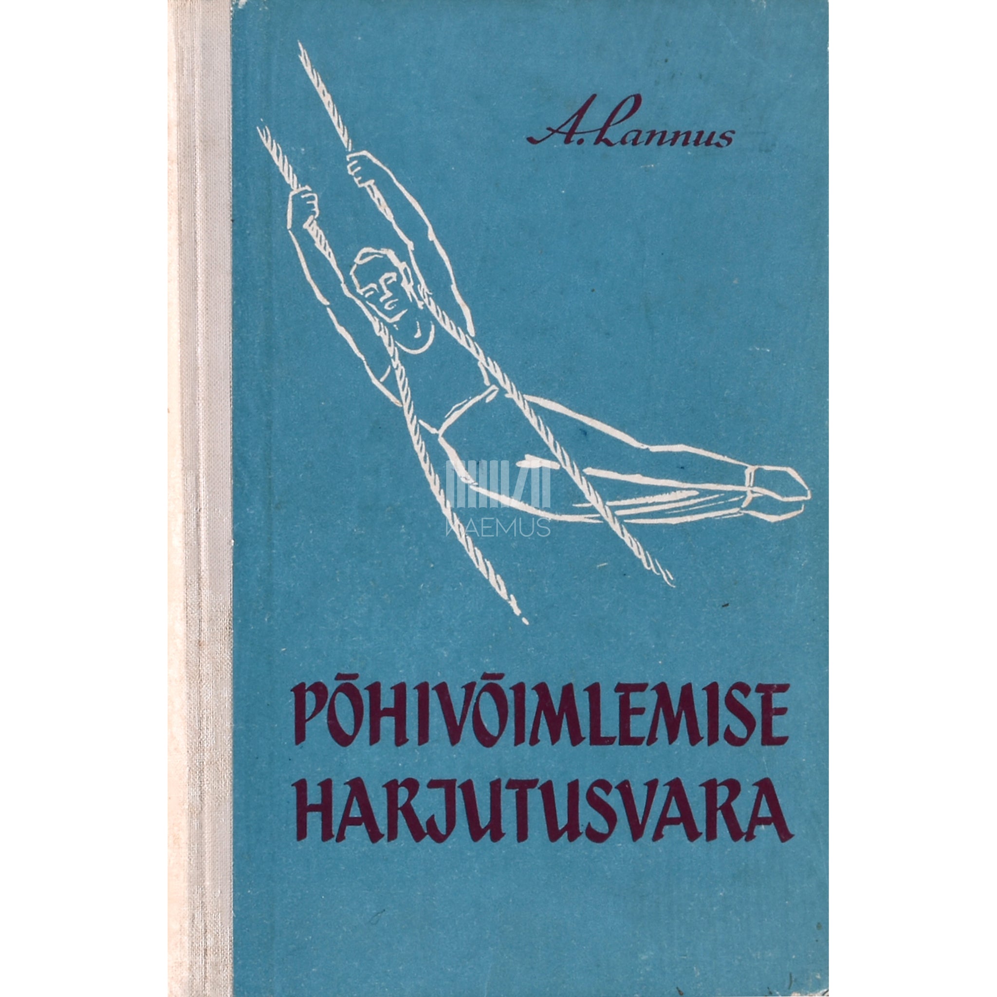 Arnold Lannus Põhivõimlemise harjutusvara