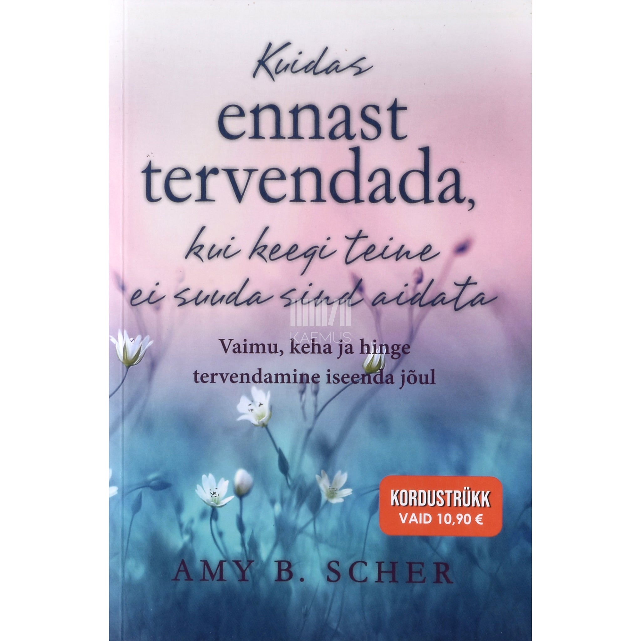Amy B. Scher Kuidas ennast tervendada, kui keegi teine ei suuda sind aidata