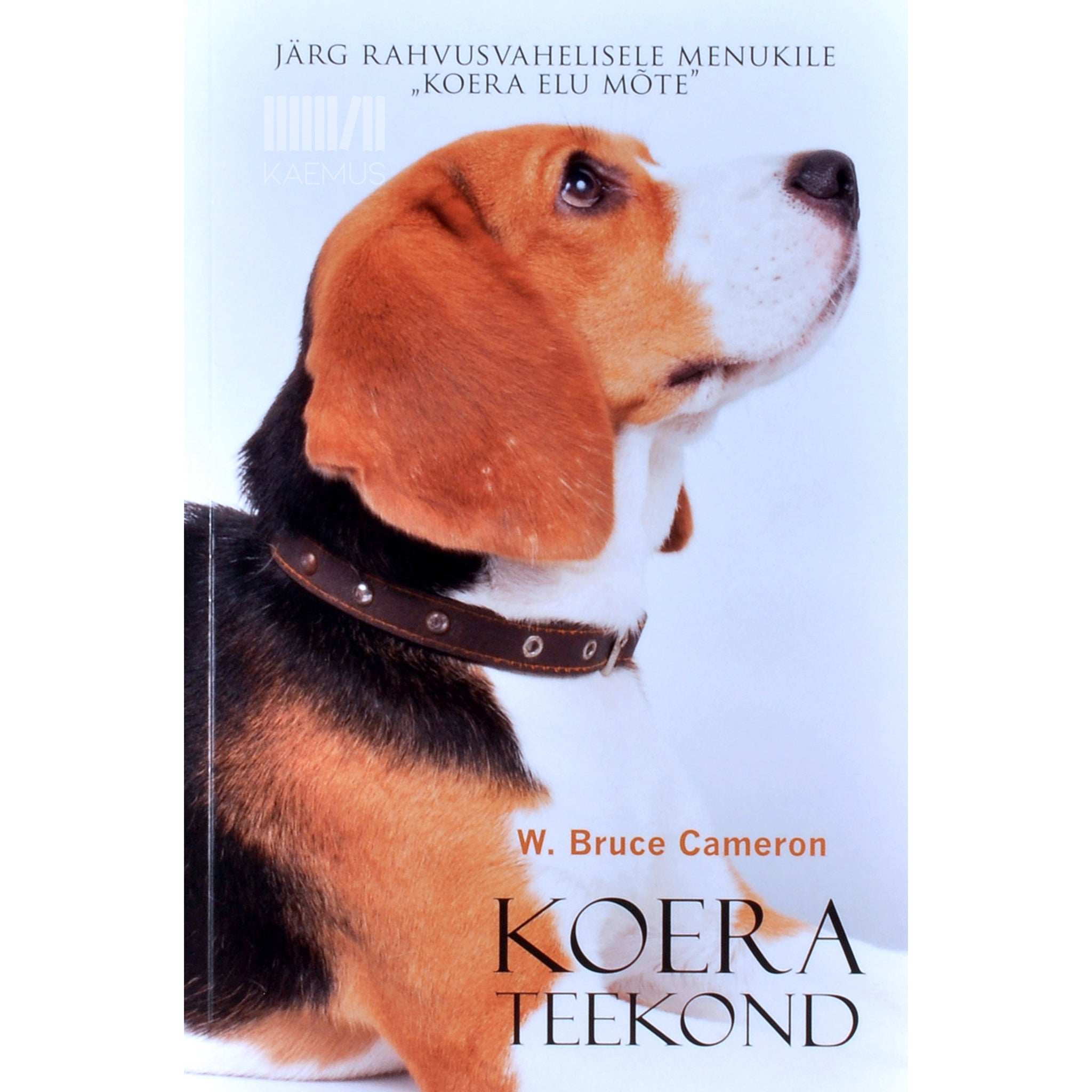W. Bruce Cameron Koera teekond