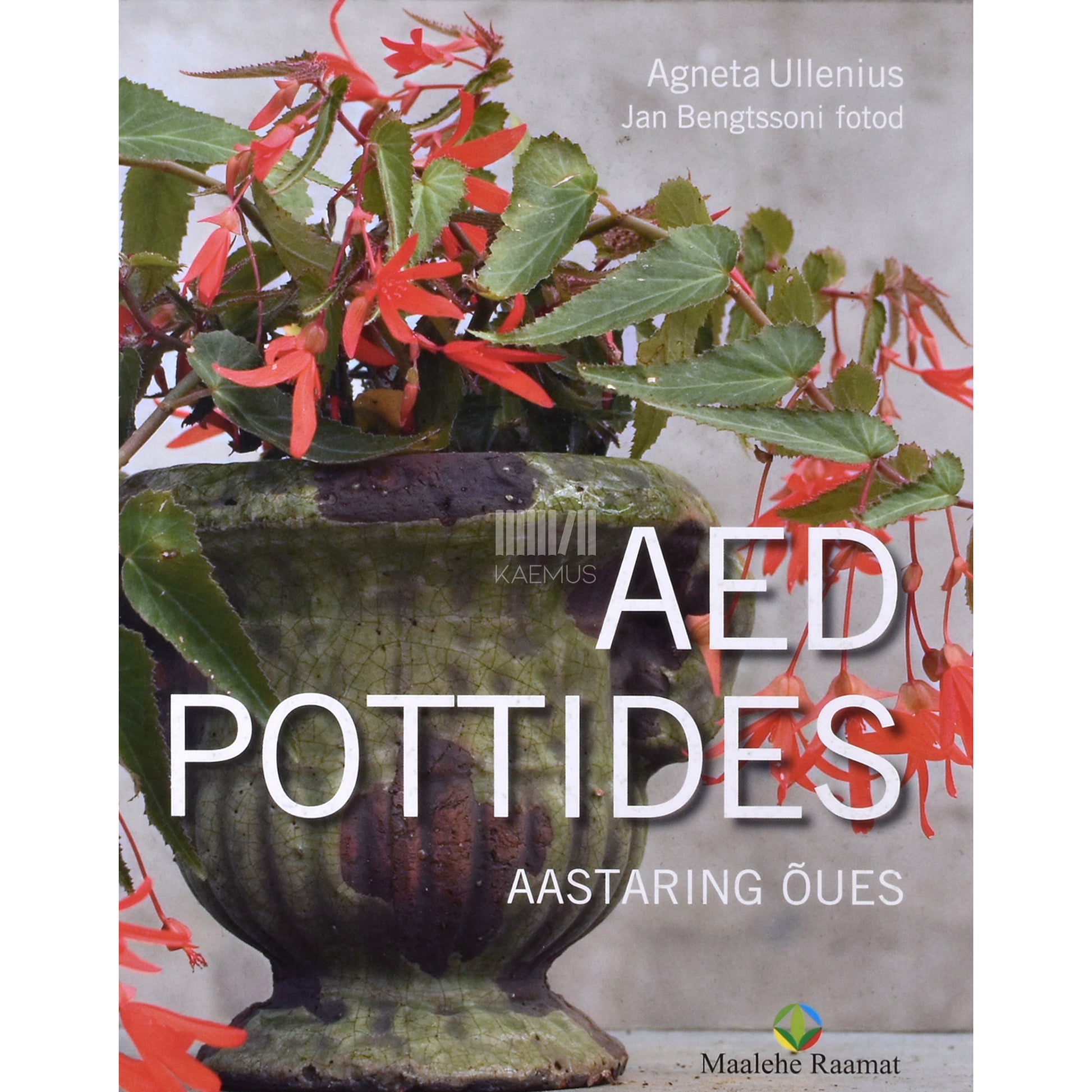 Agneta Ullenius. Aed pottides. Aastaring õues