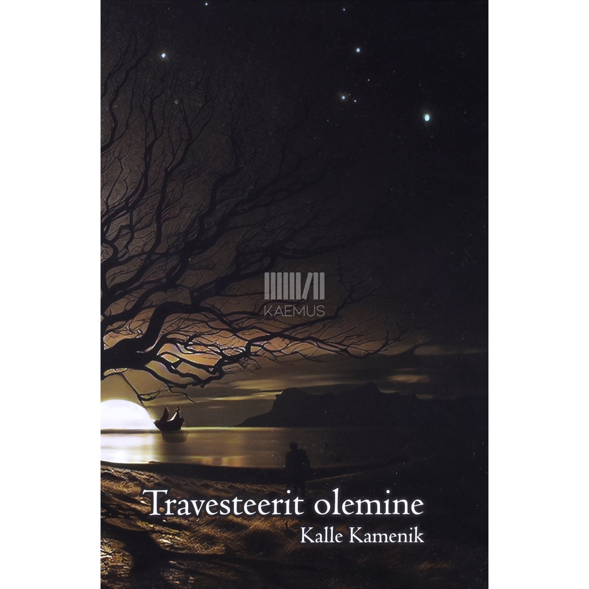 Kalle Kamenik. Travesteerit olemine: 1989-2002