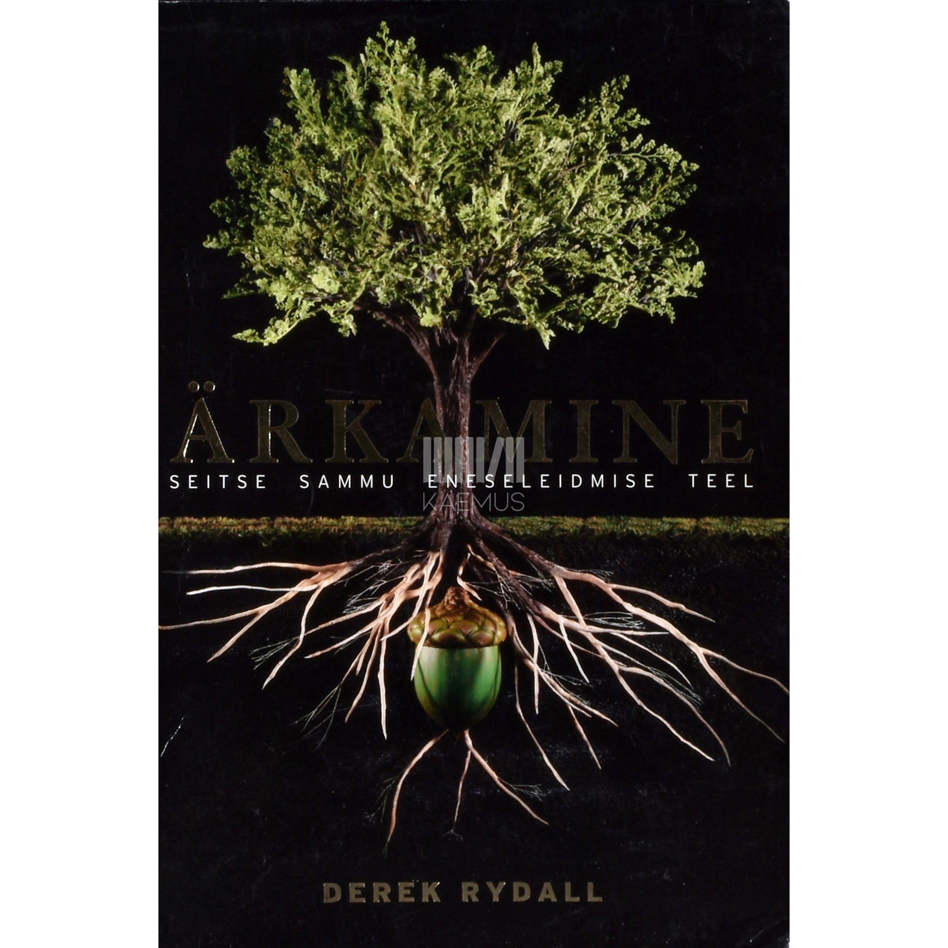 Derek Rydall. Ärkamine