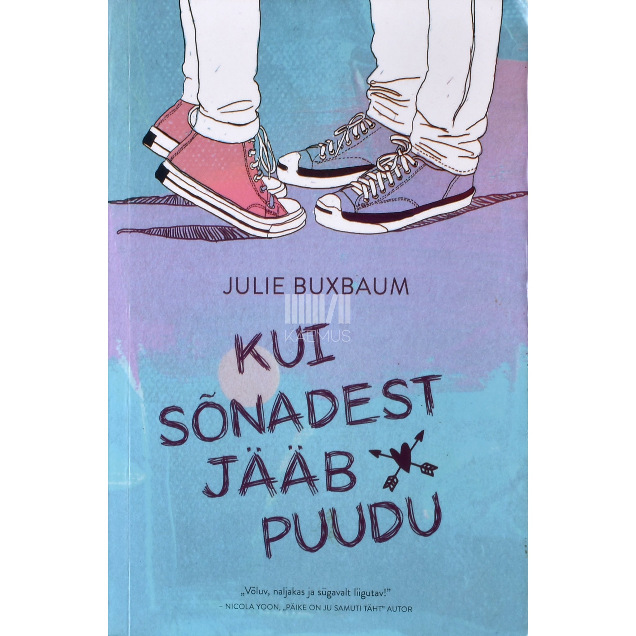 Julie Buxbaum Kui sõnadest jääb puudu