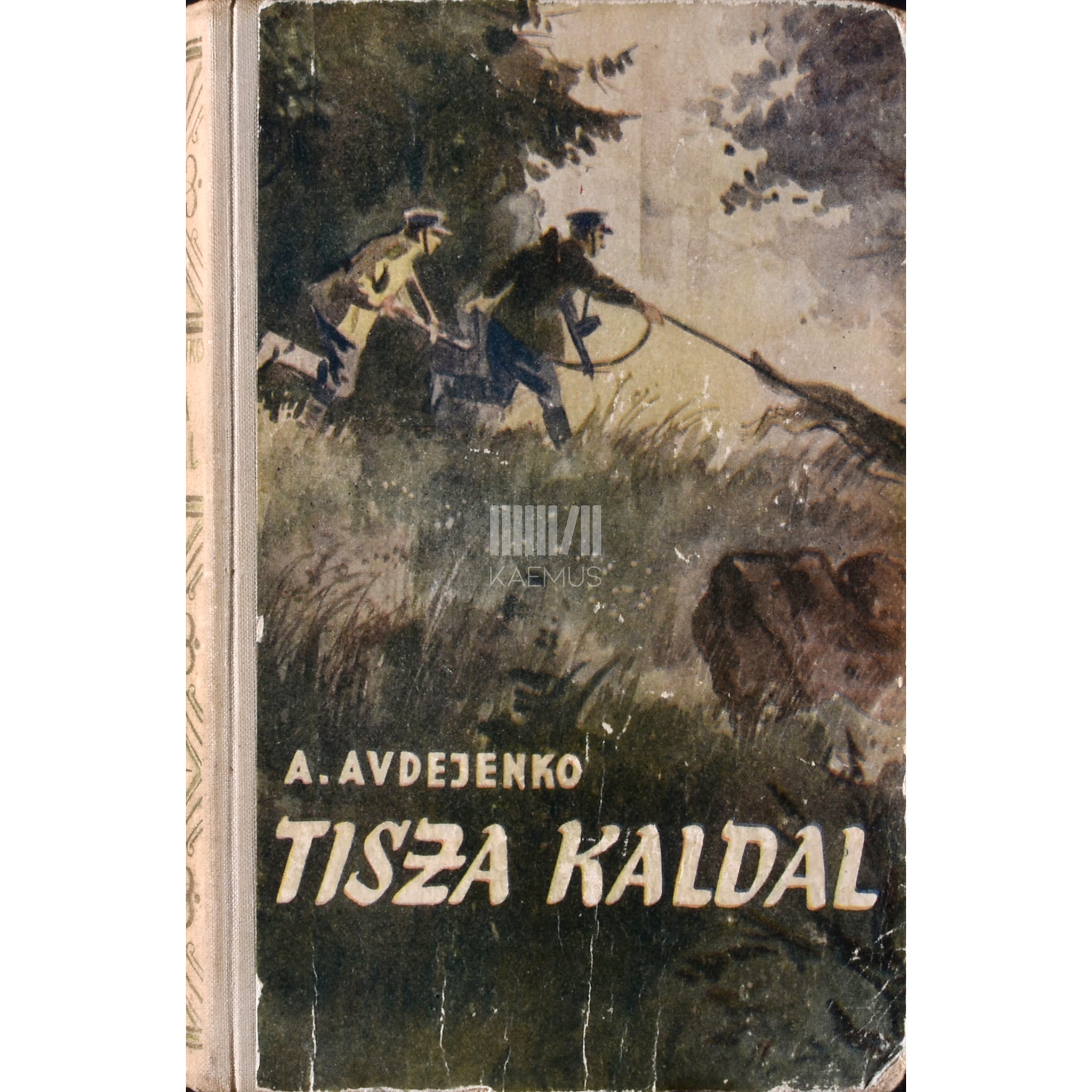 Aleksandr Avdejenko Tisza kaldal