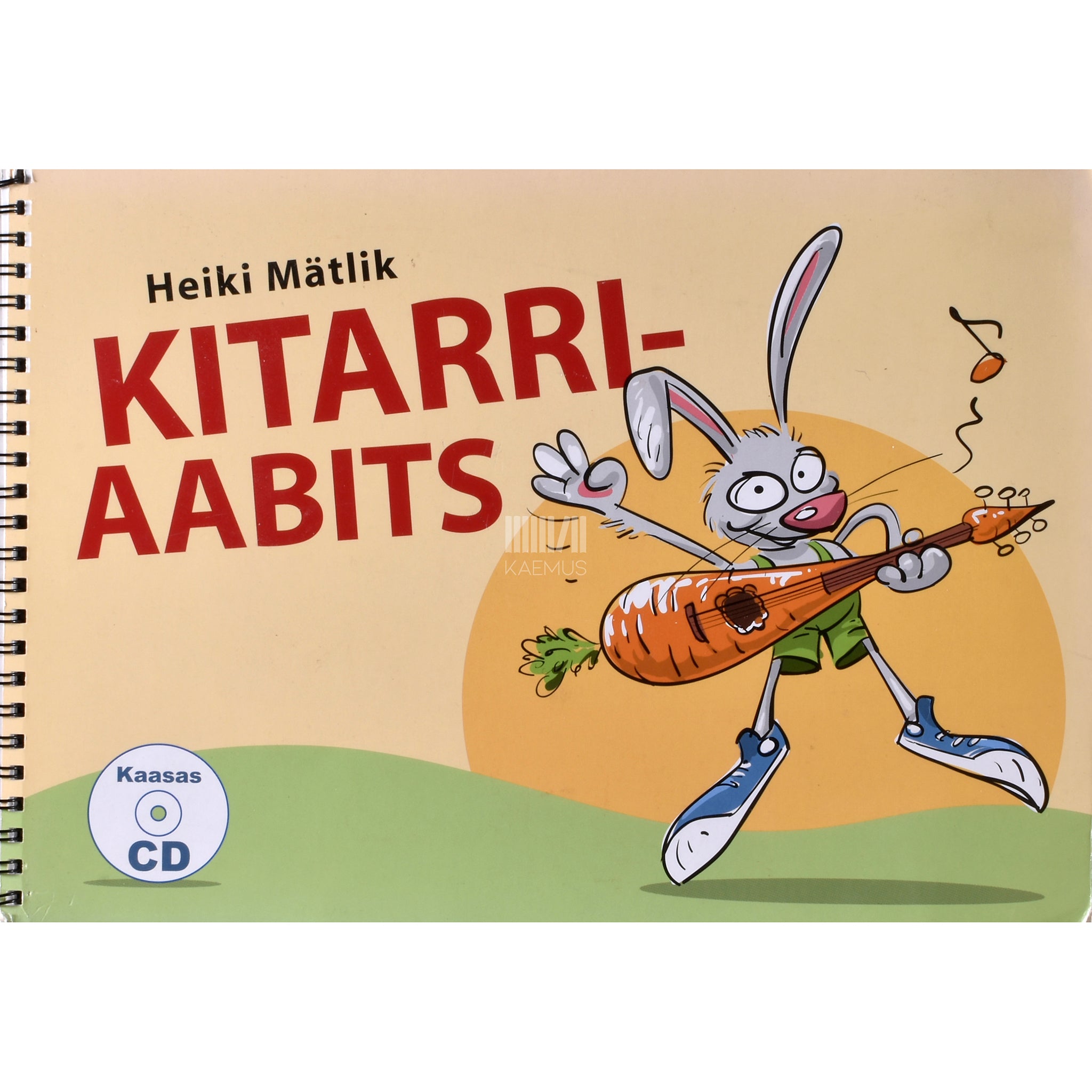 Heiki Mätlik Kitarriaabits