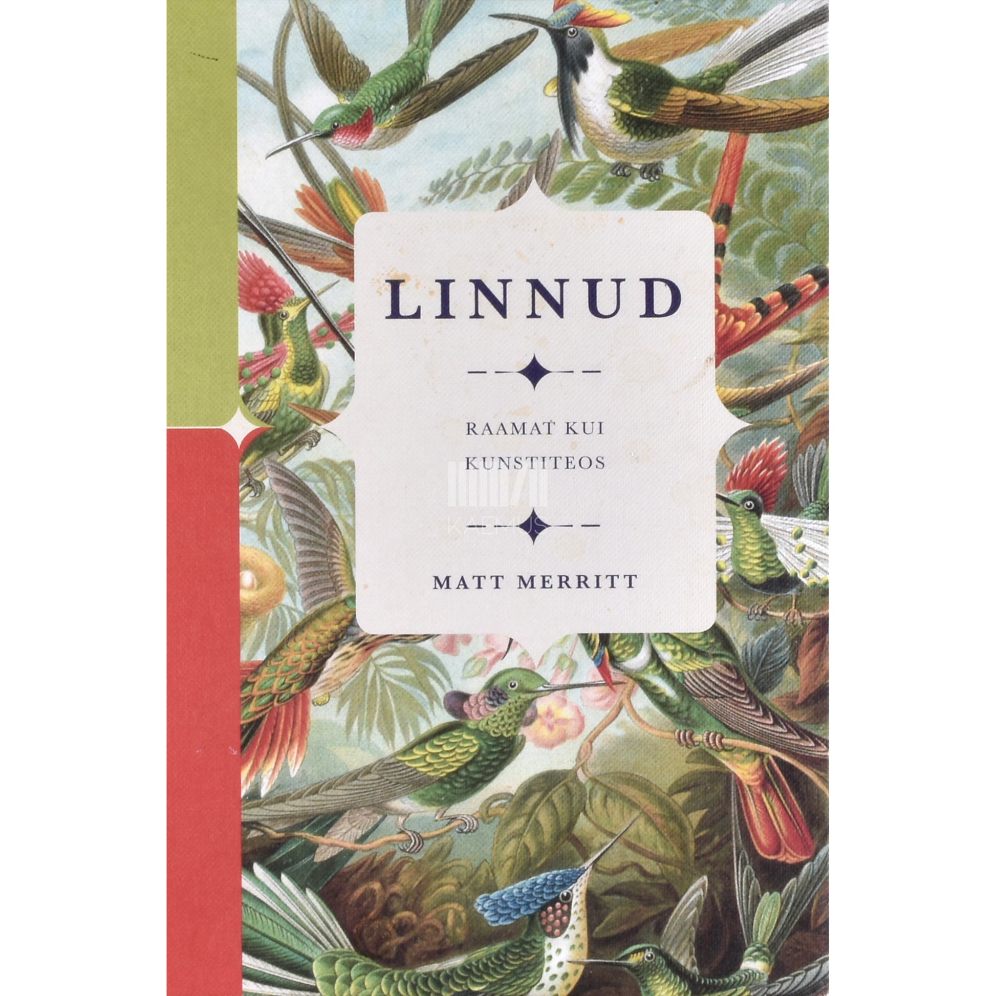 Matt Merritt. Linnud. Raamat kui kunstiteos