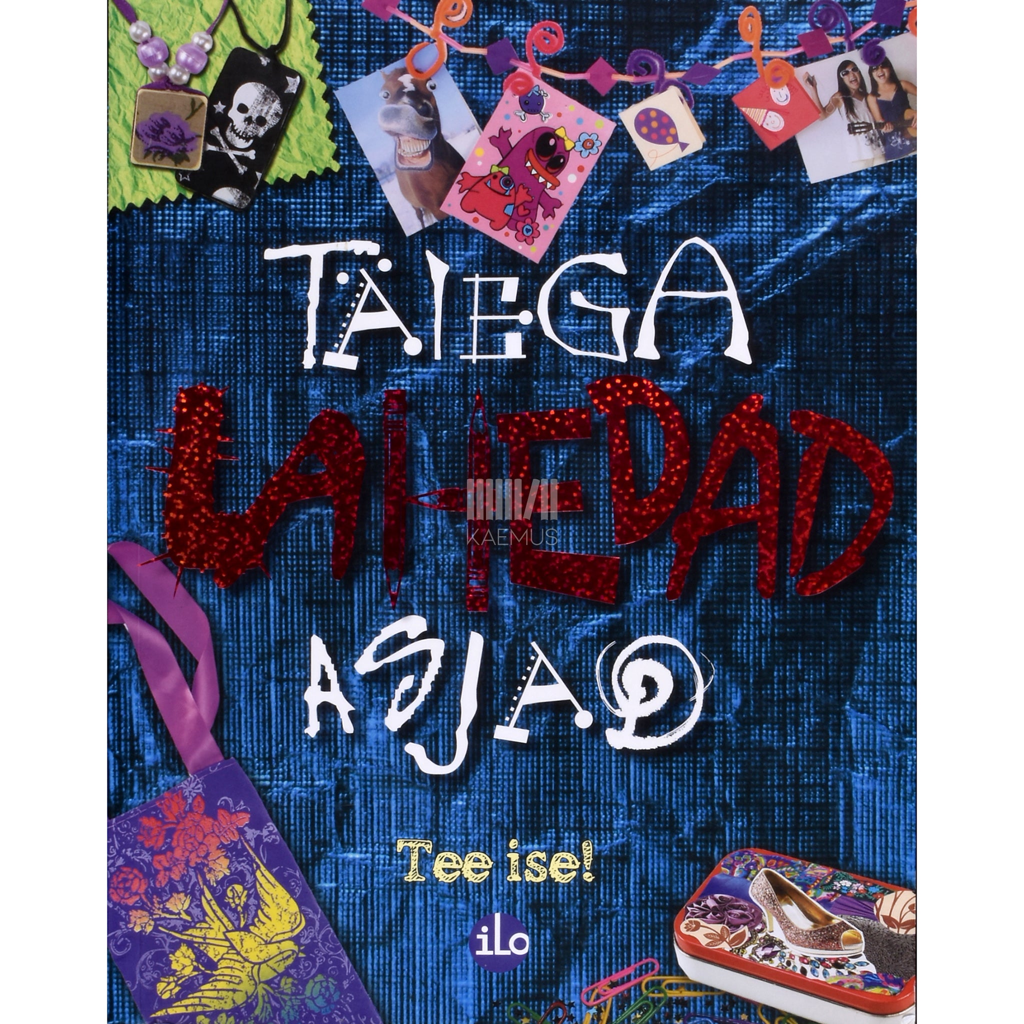 Laura Torres Täiega lahedad asjad. Tee ise!