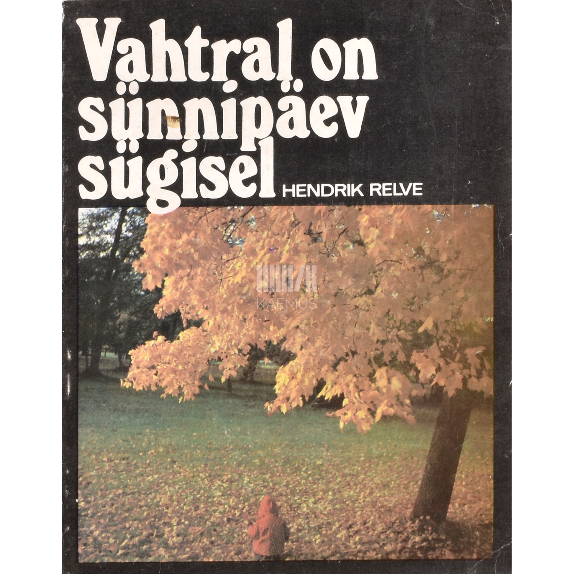 Hendrik Relve. Vahtral on sünnipäev sügisel