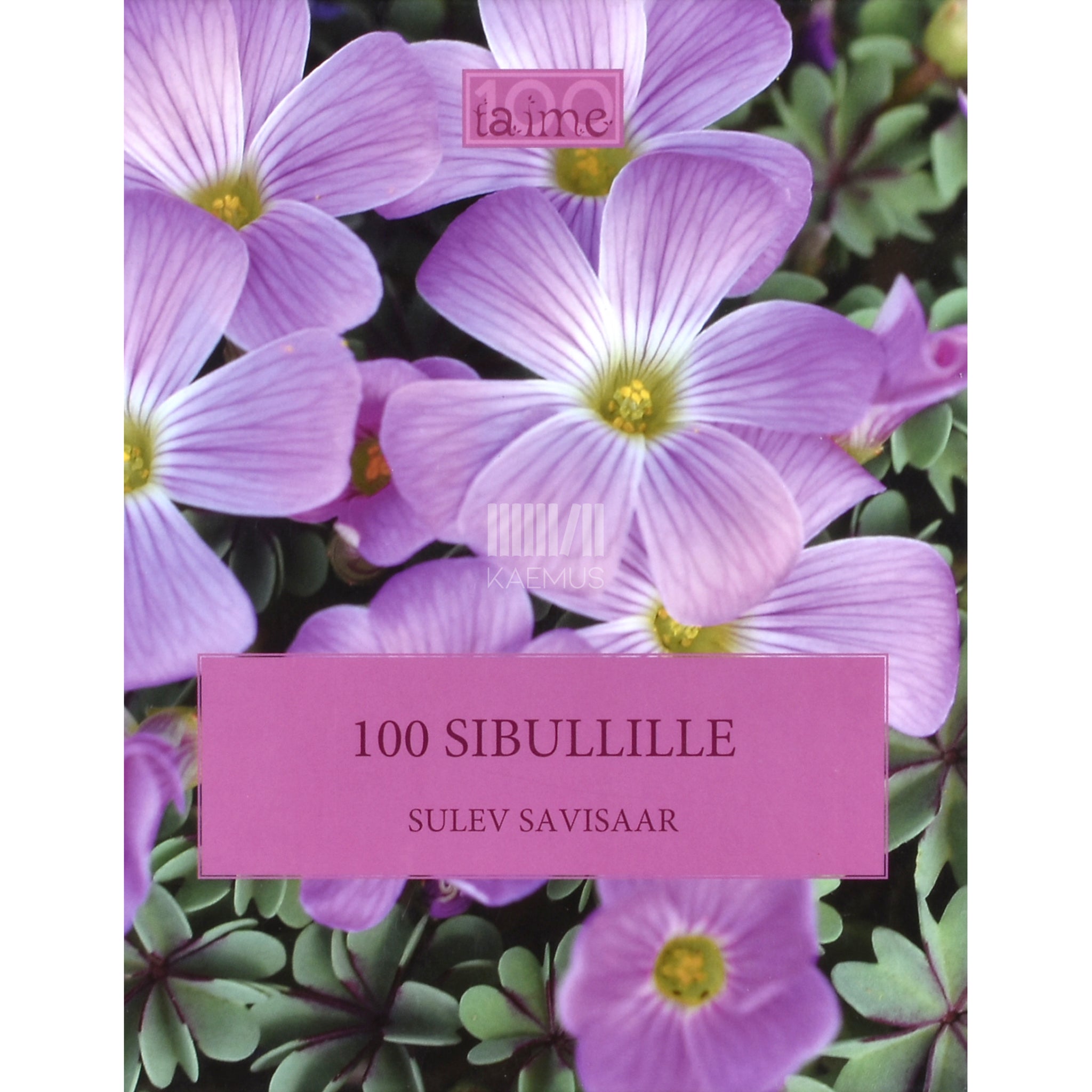 Sulev Savisaar 100 sibullille