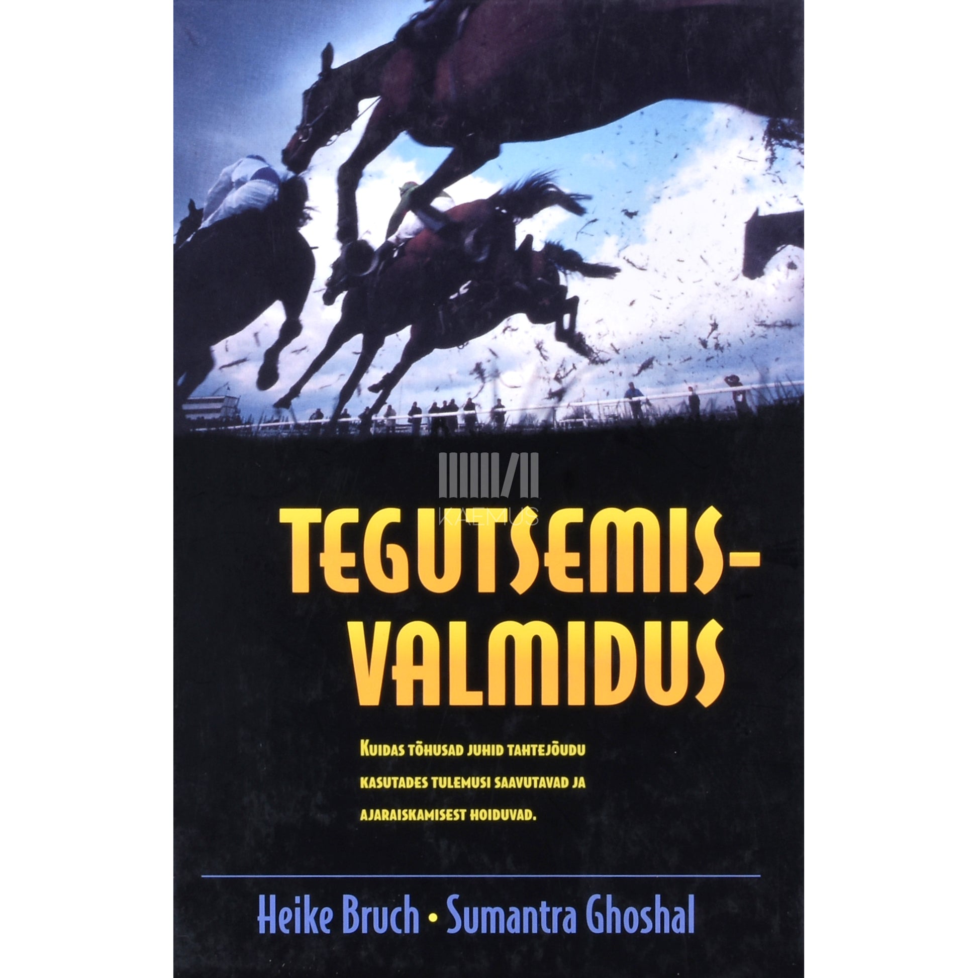 Heike Bruch, Sumantra Ghoshal. Tegutsemisvalmidus