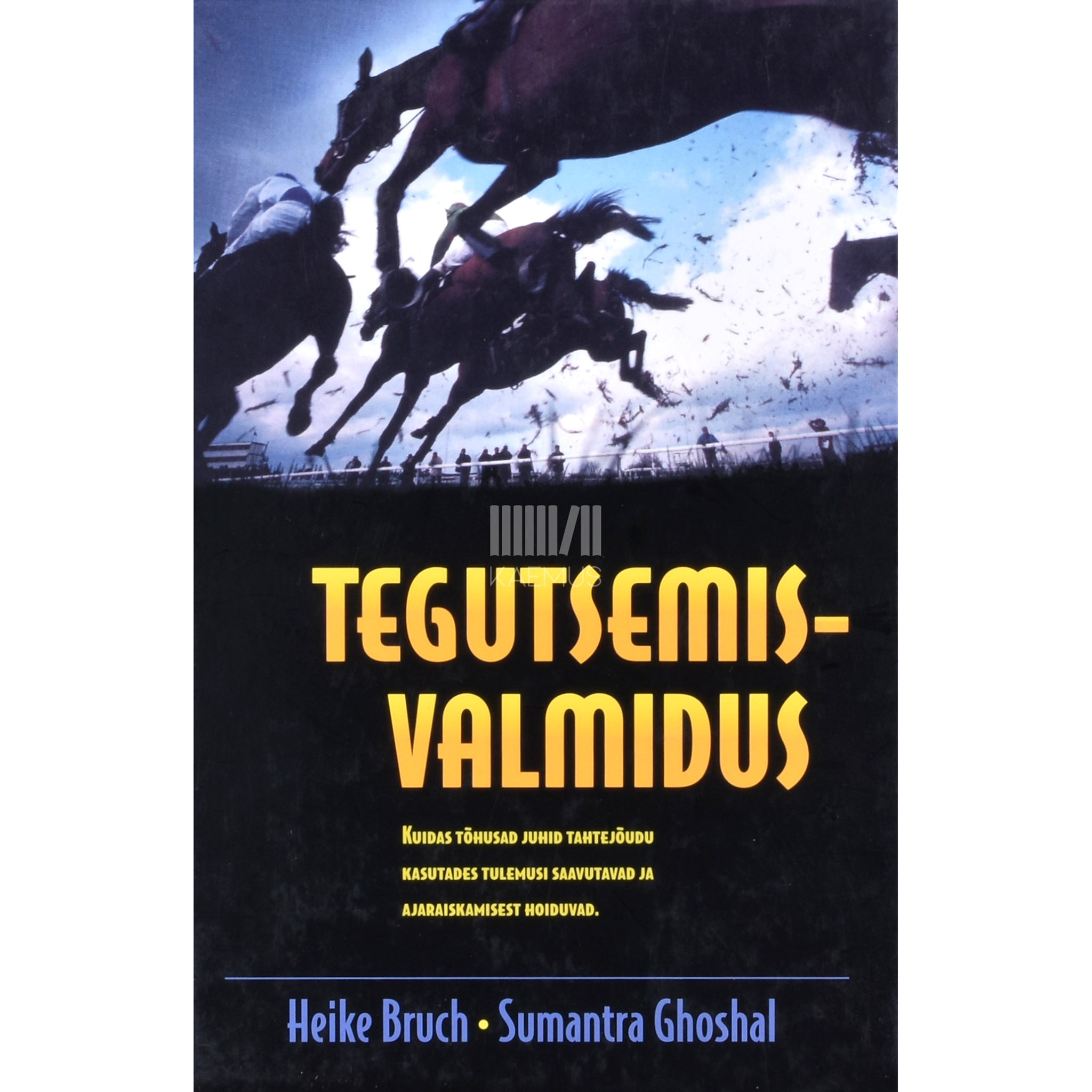 Heike Bruch, Sumantra Ghoshal Tegutsemisvalmidus